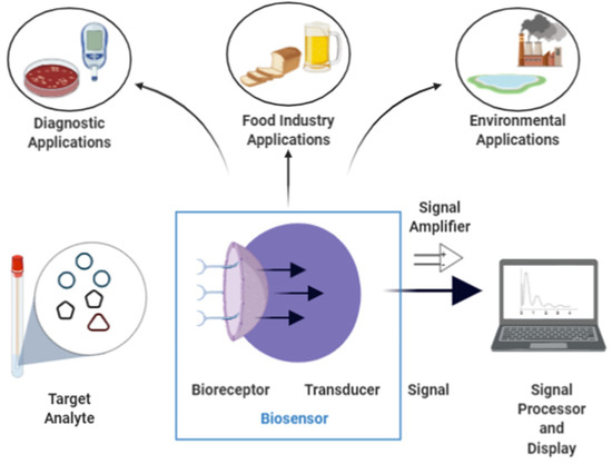 Electrochem Free Full Text Designing Of Nanomaterials Based Enzymatic Biosensors Synthesis Properties And Applications Html Electrochem Free Full Text Designing Of Nanomaterials Based Enzymatic Biosensors Synthesis Properties And Applications Html
