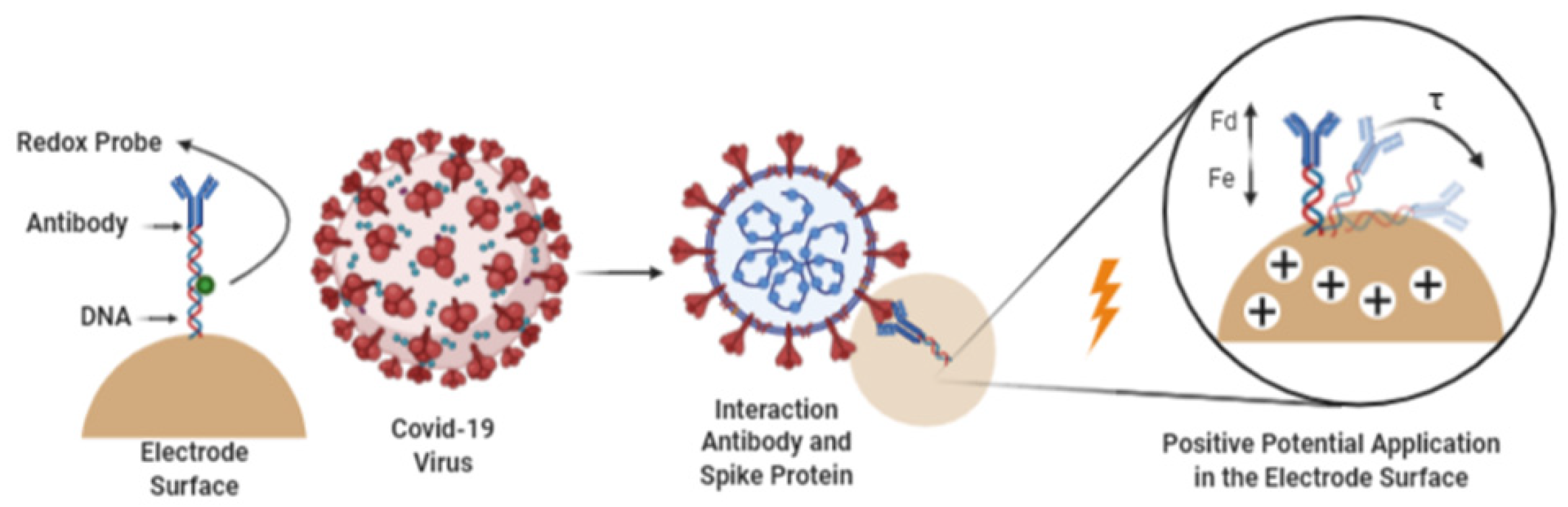 Electrochem 02 00012 g002