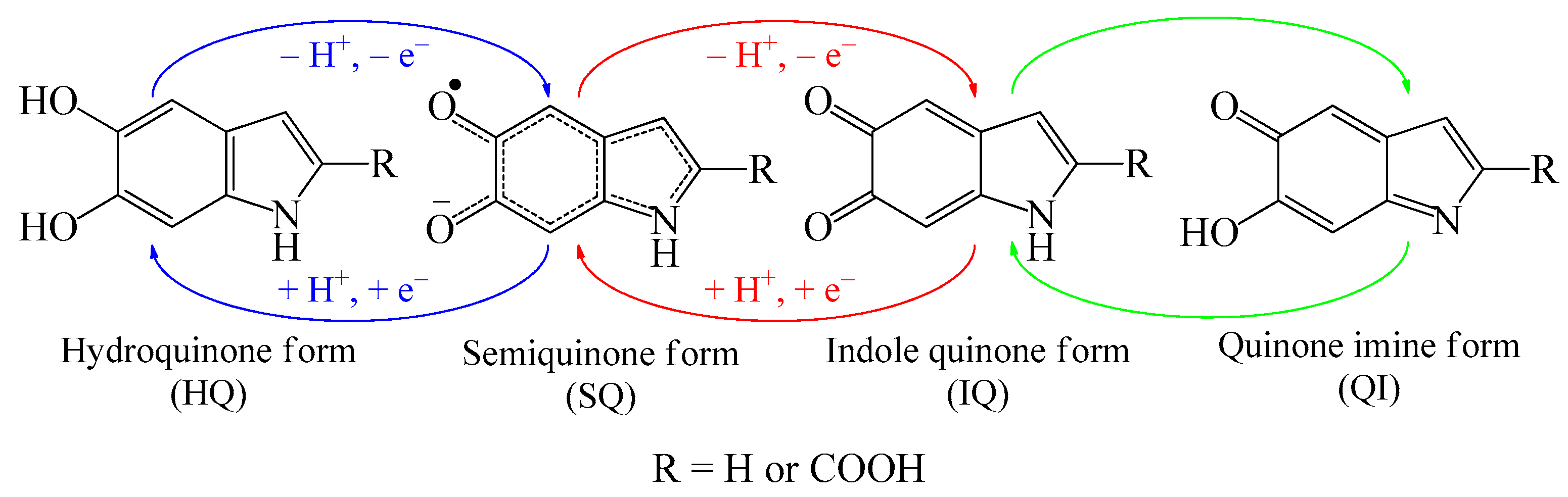 Electrochem 02 00019 g001