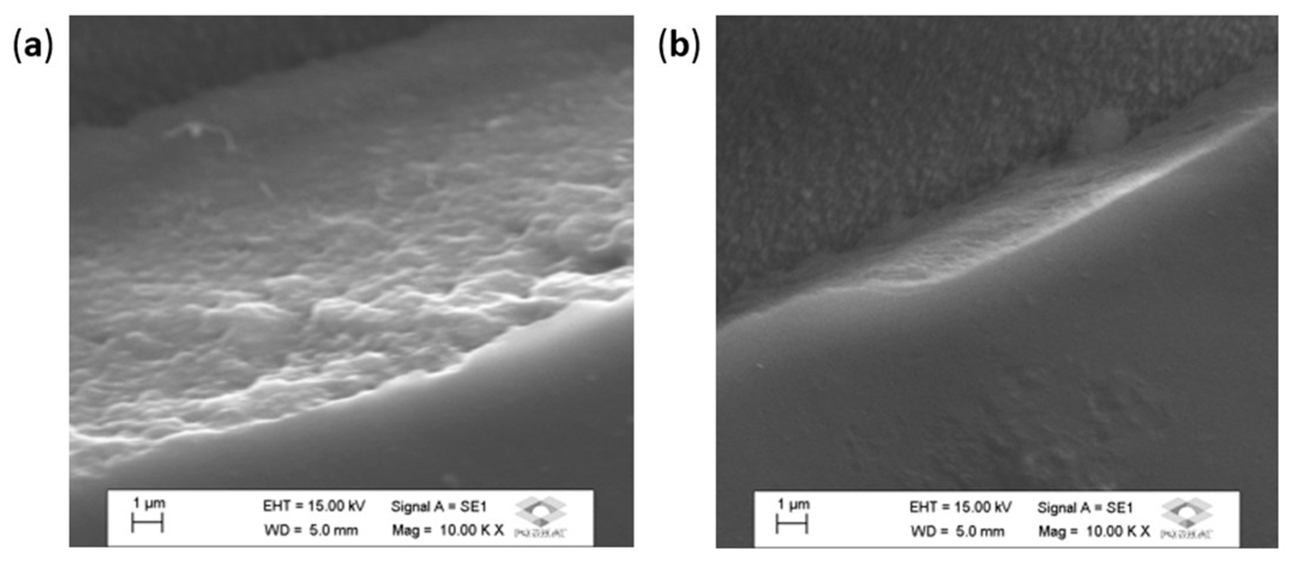Electrochem 02 00019 g002