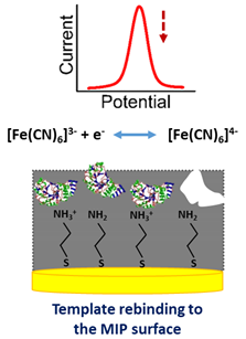 Electrochem 02 00028 i001