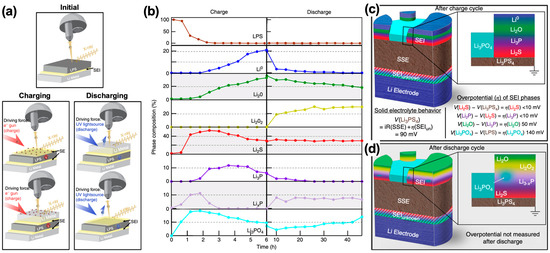 Review on Interface and Interphase Issues in Sulfide Solid