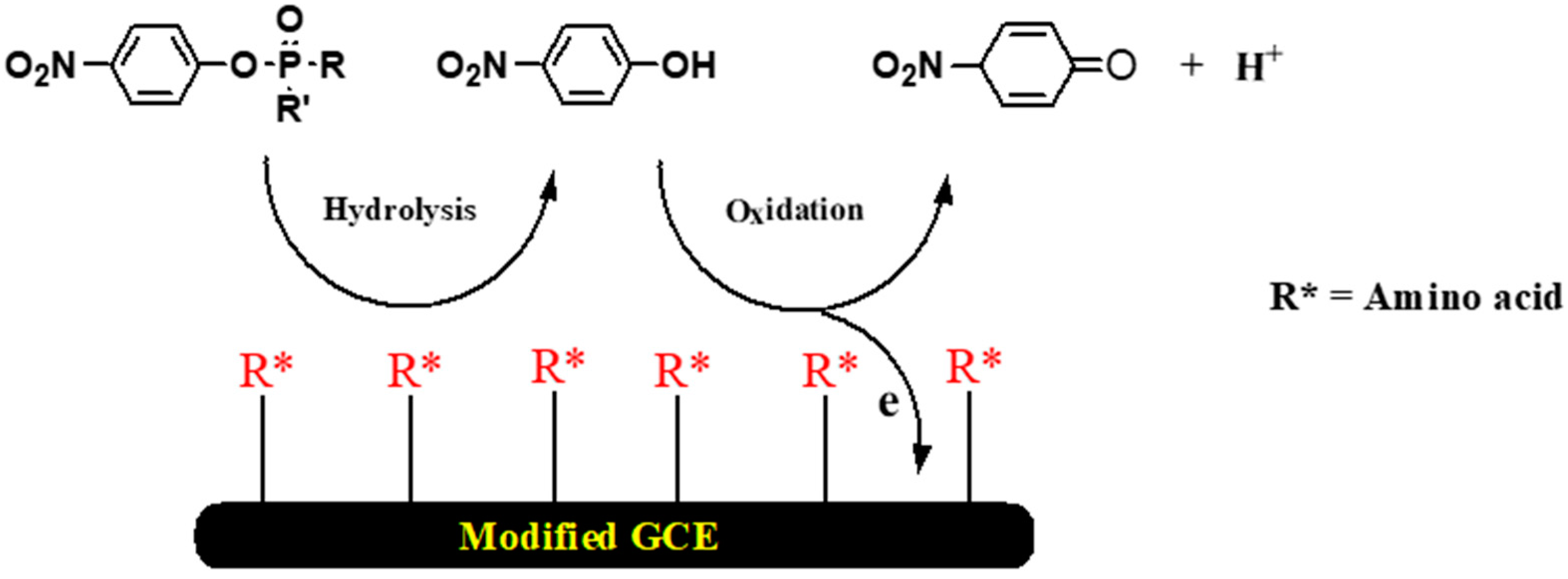 Electrochem 02 00042 sch007