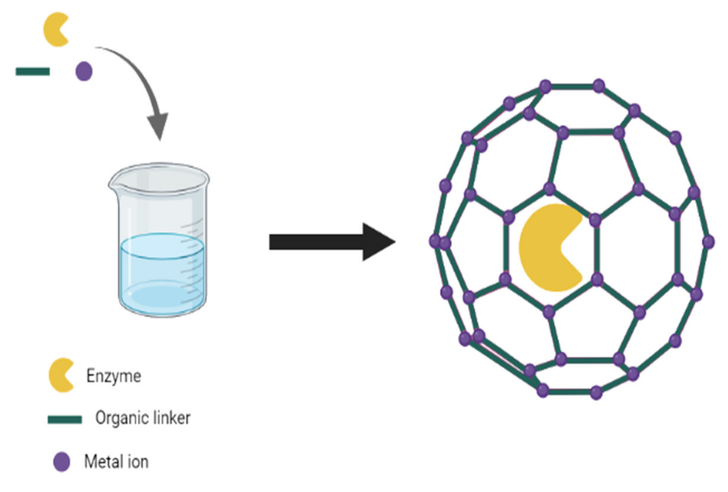 Electrochem 03 00006 g003 Electrochem 03 00006 g003