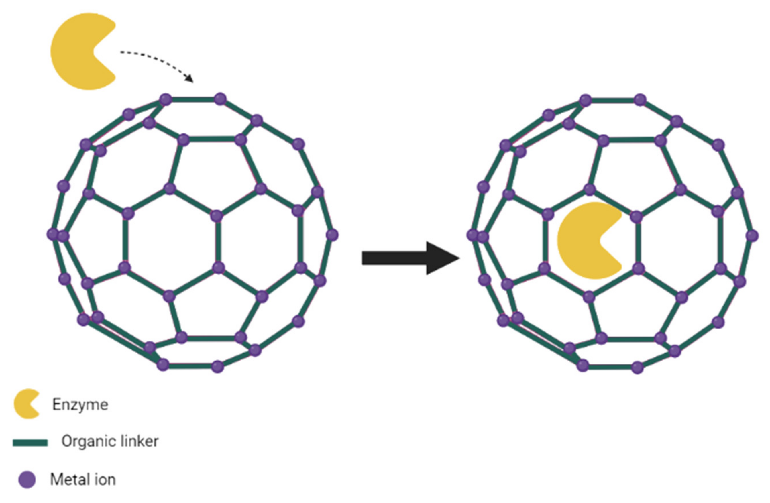 Electrochem 03 00006 g005 Electrochem 03 00006 g005