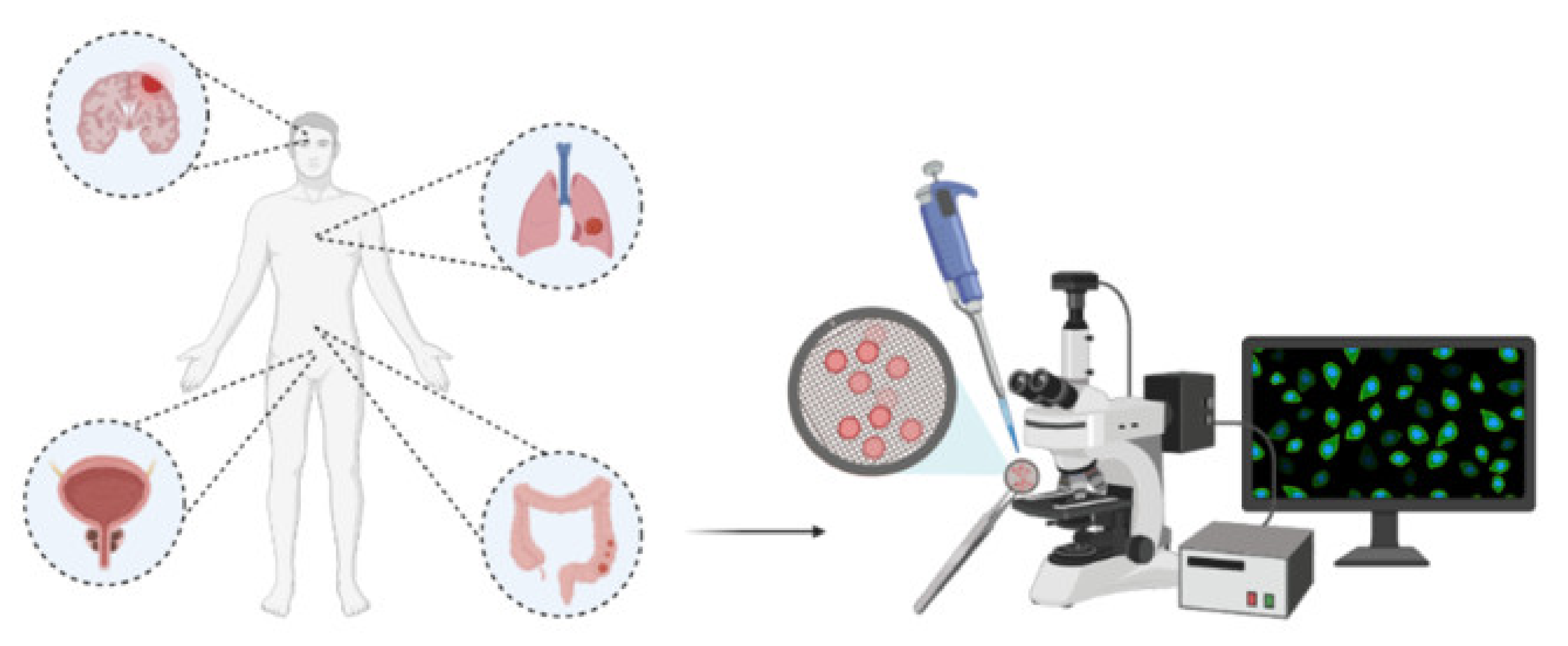 Electrochem 03 00006 g010 Electrochem 03 00006 g010