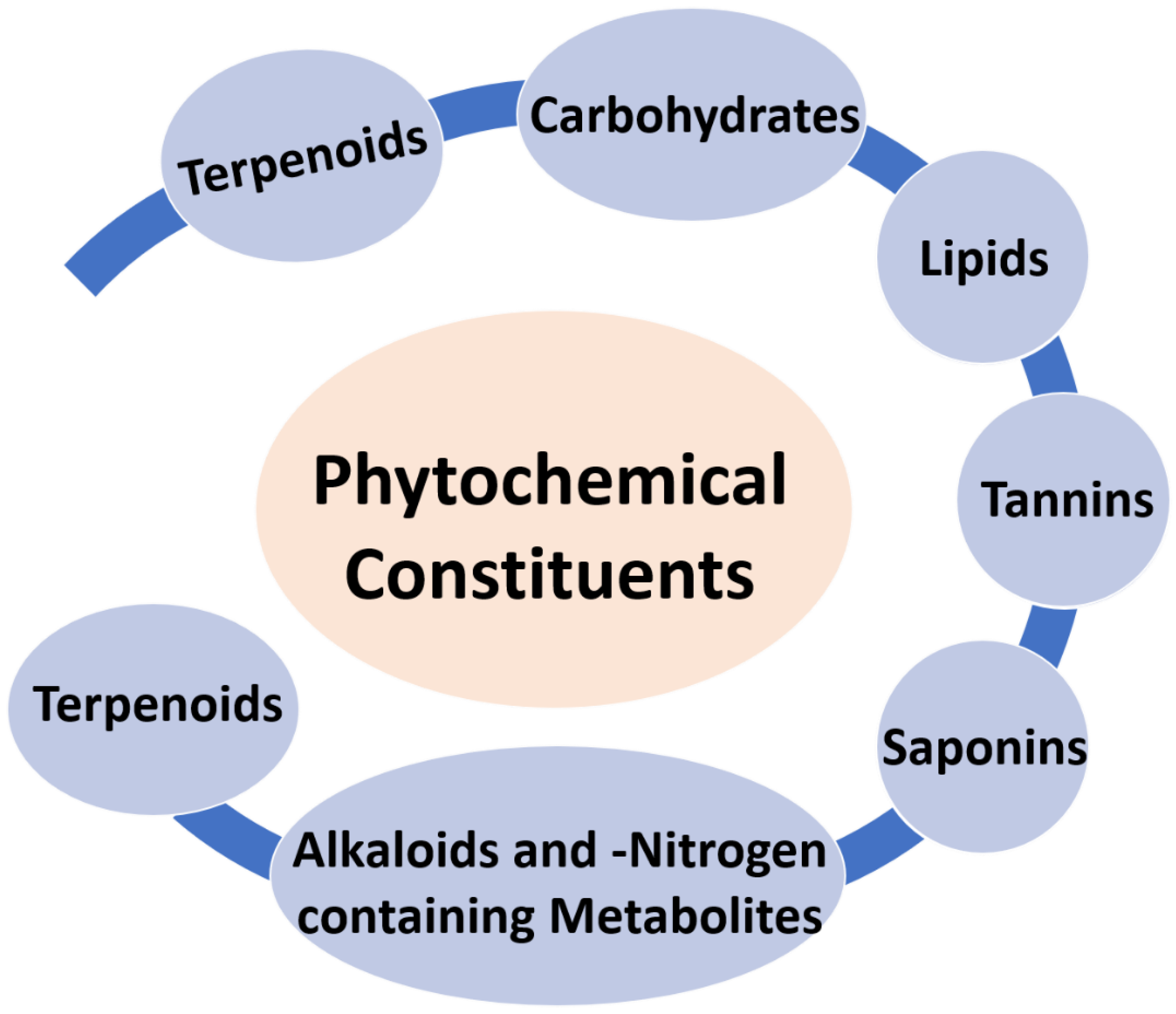 Electrochem 03 00030 g001 Electrochem 03 00030 g001