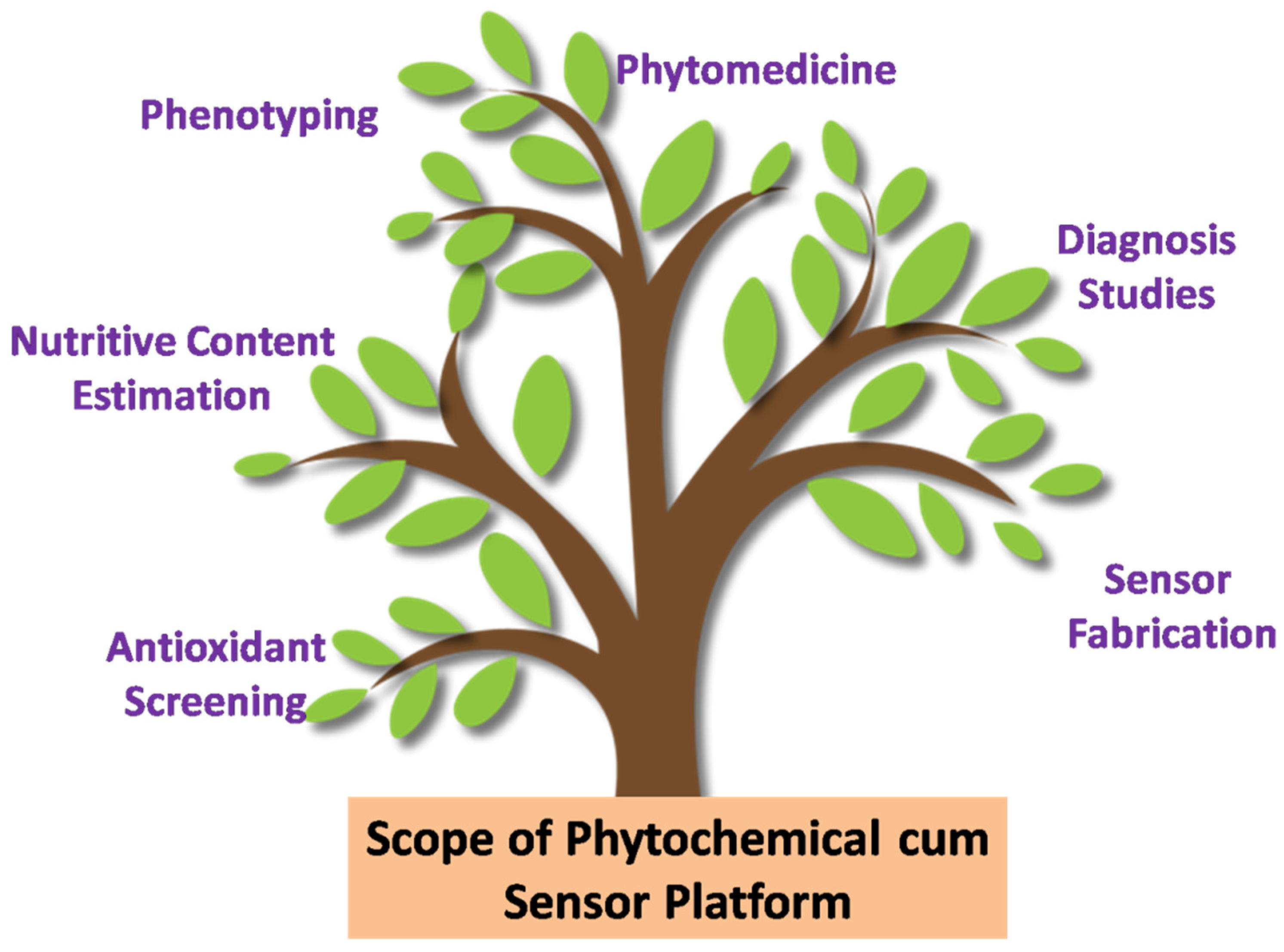 Electrochem 03 00041 g002 Electrochem 03 00041 g002