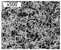 Electrochem 03 00050 i001 Electrochem 03 00050 i001
