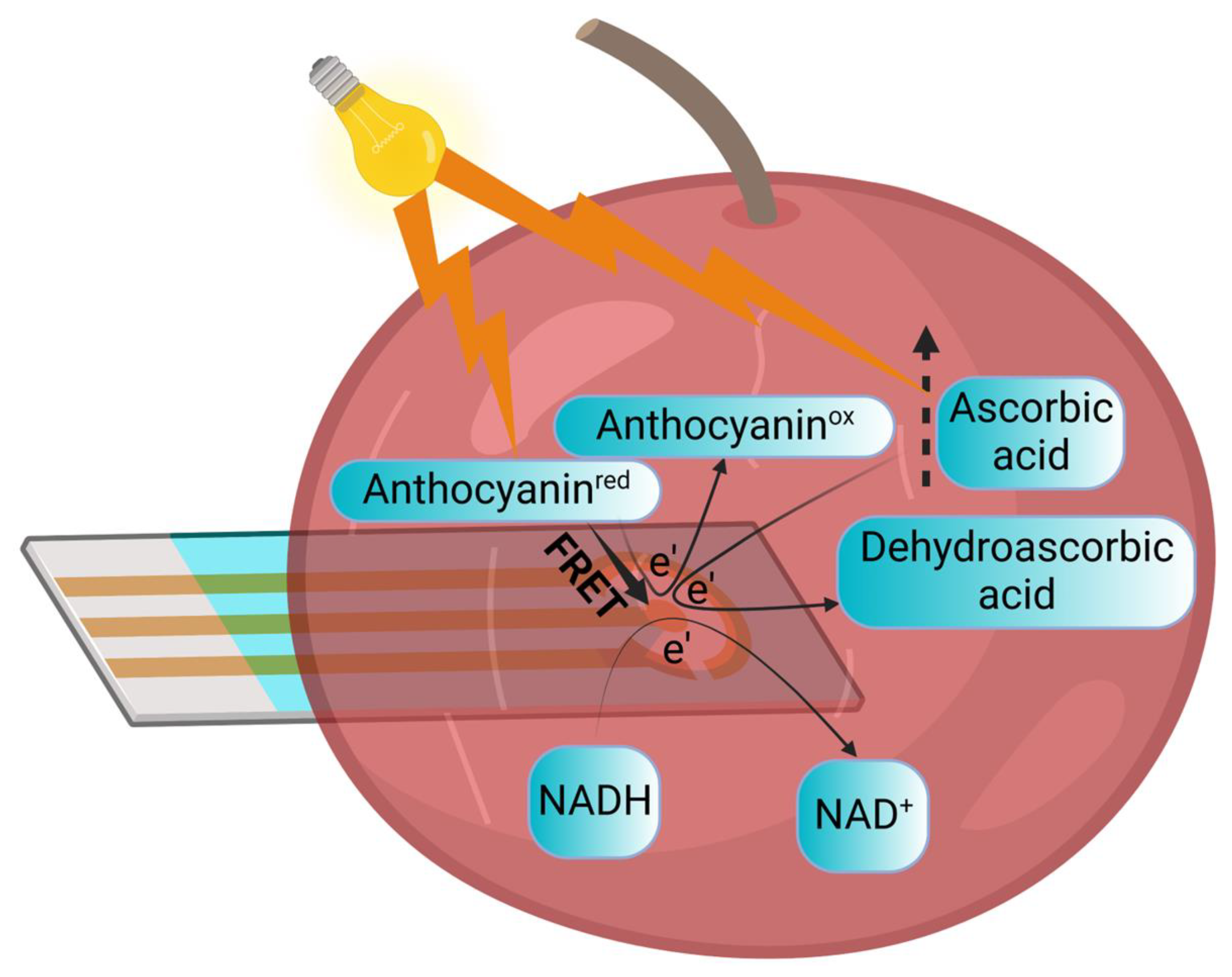 Electrochem 04 00005 g004 Electrochem 04 00005 g004