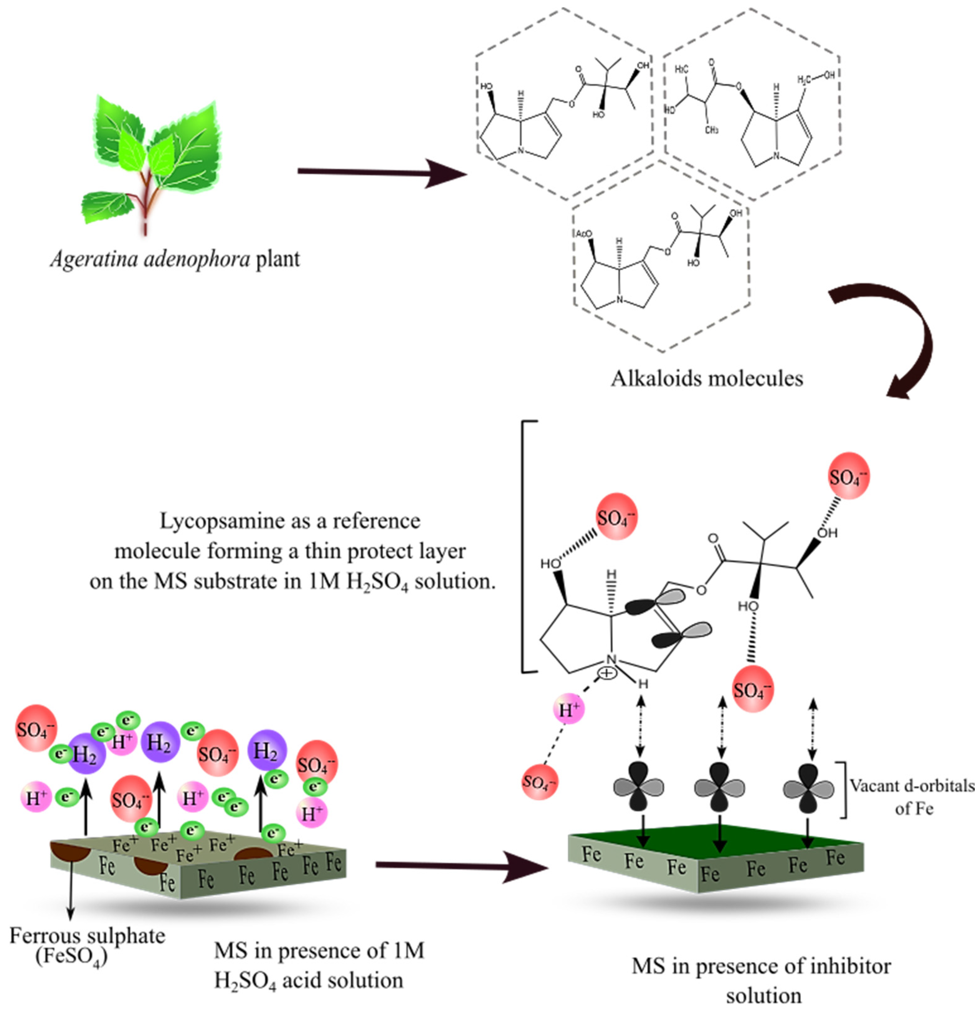 Electrochem 04 00009 g014 Electrochem 04 00009 g014