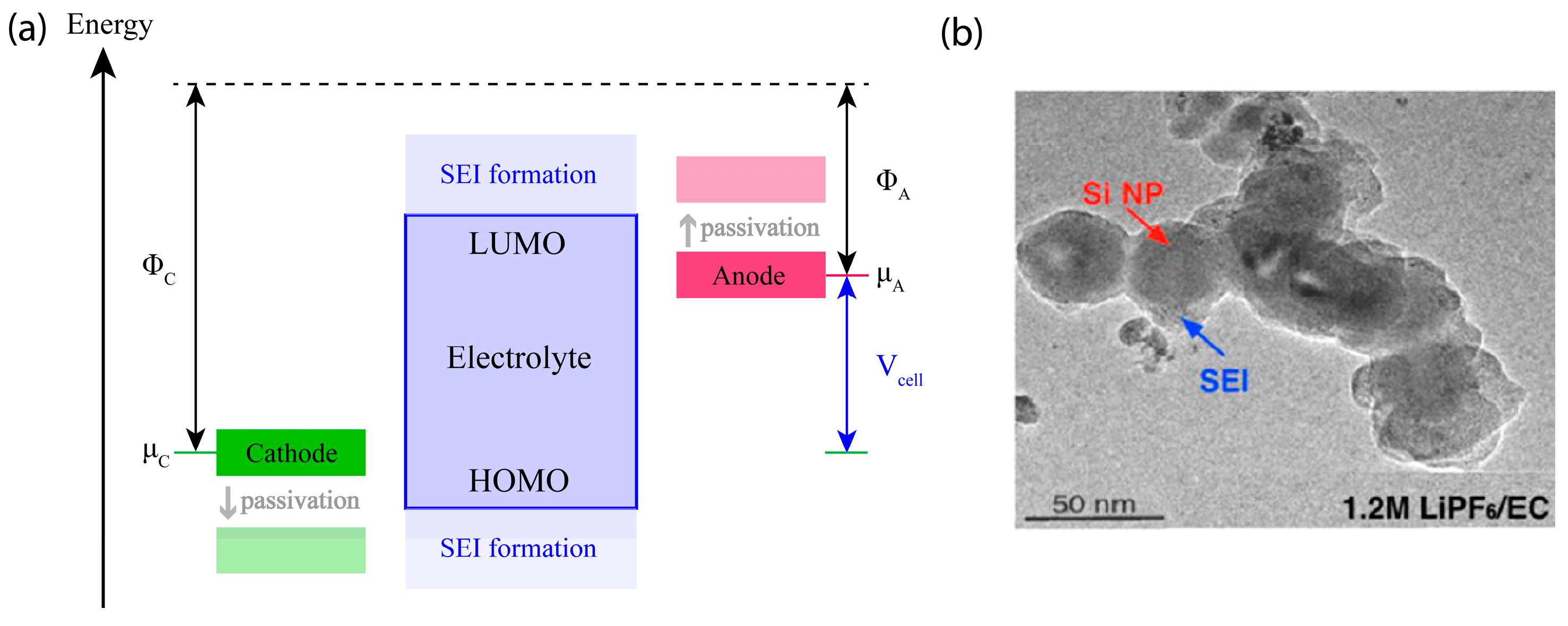 Electrochem 04 00013 g005