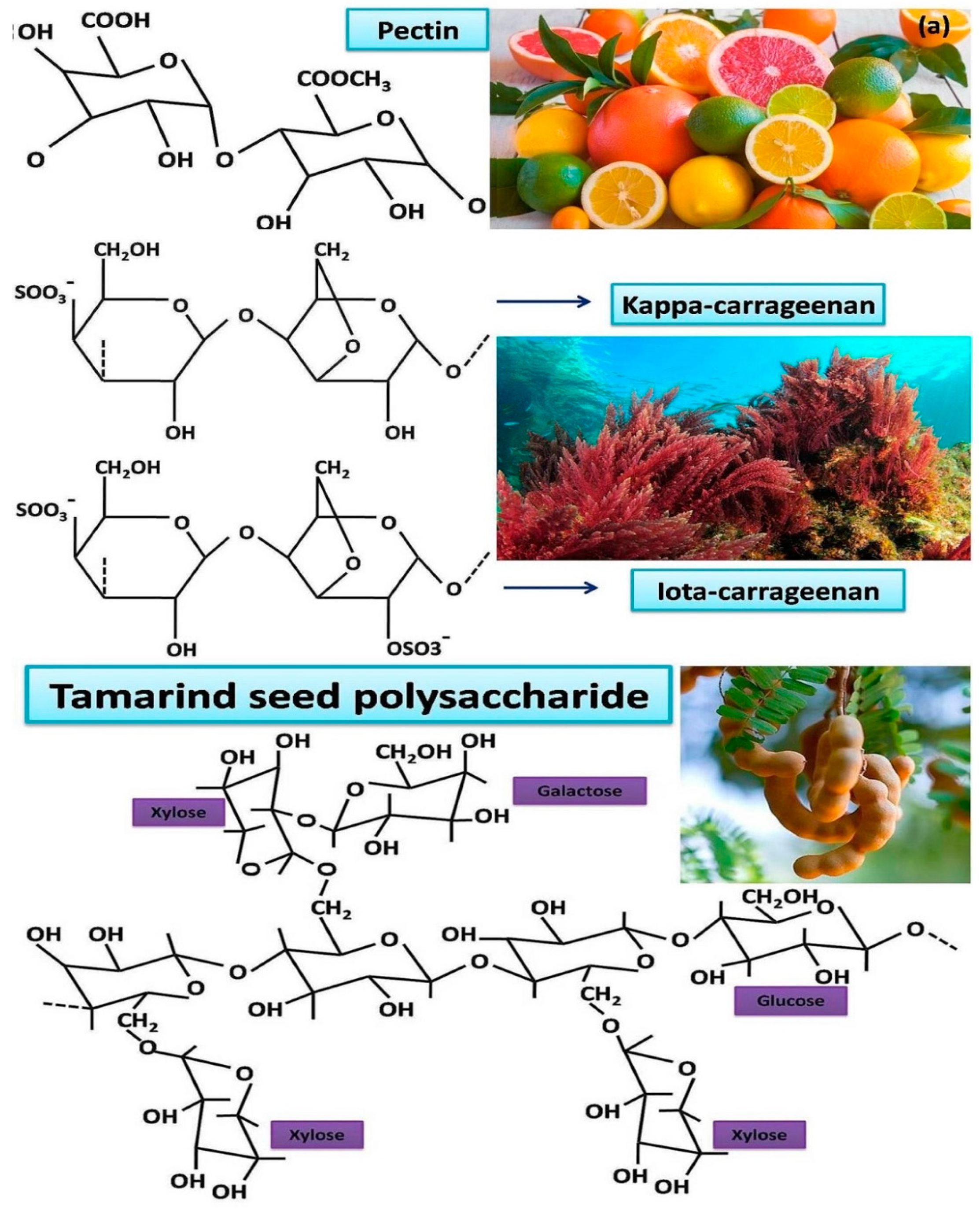 Electrochem 04 00015 g002a Electrochem 04 00015 g002a