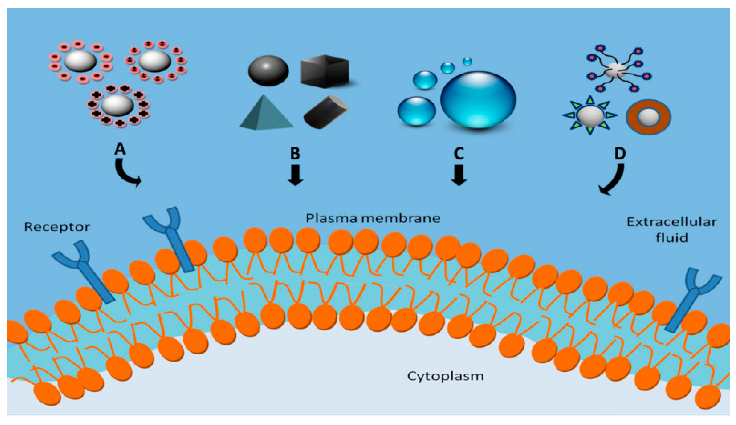 Electrochem 04 00024 g007