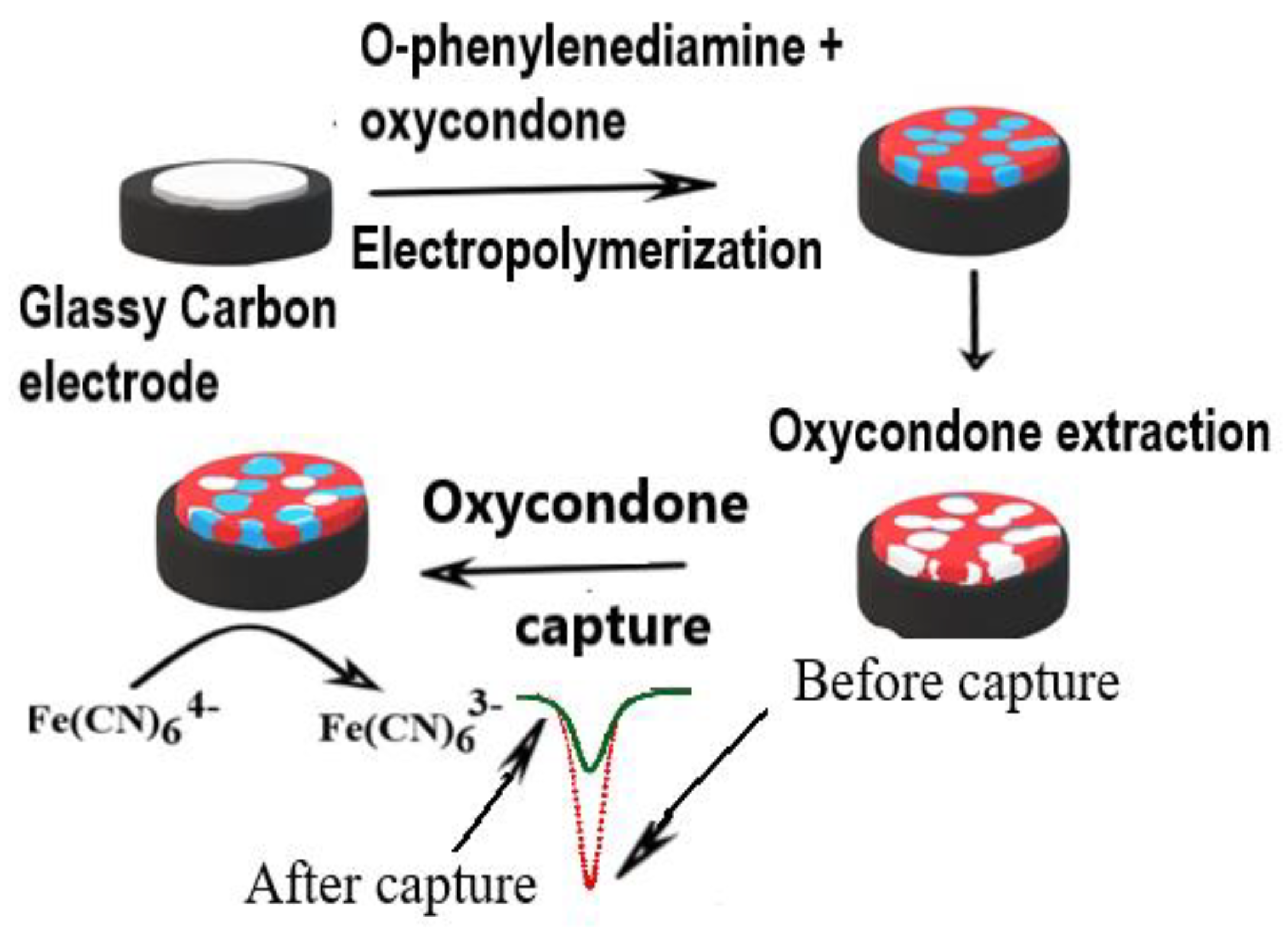 Electrochem 04 00028 g002