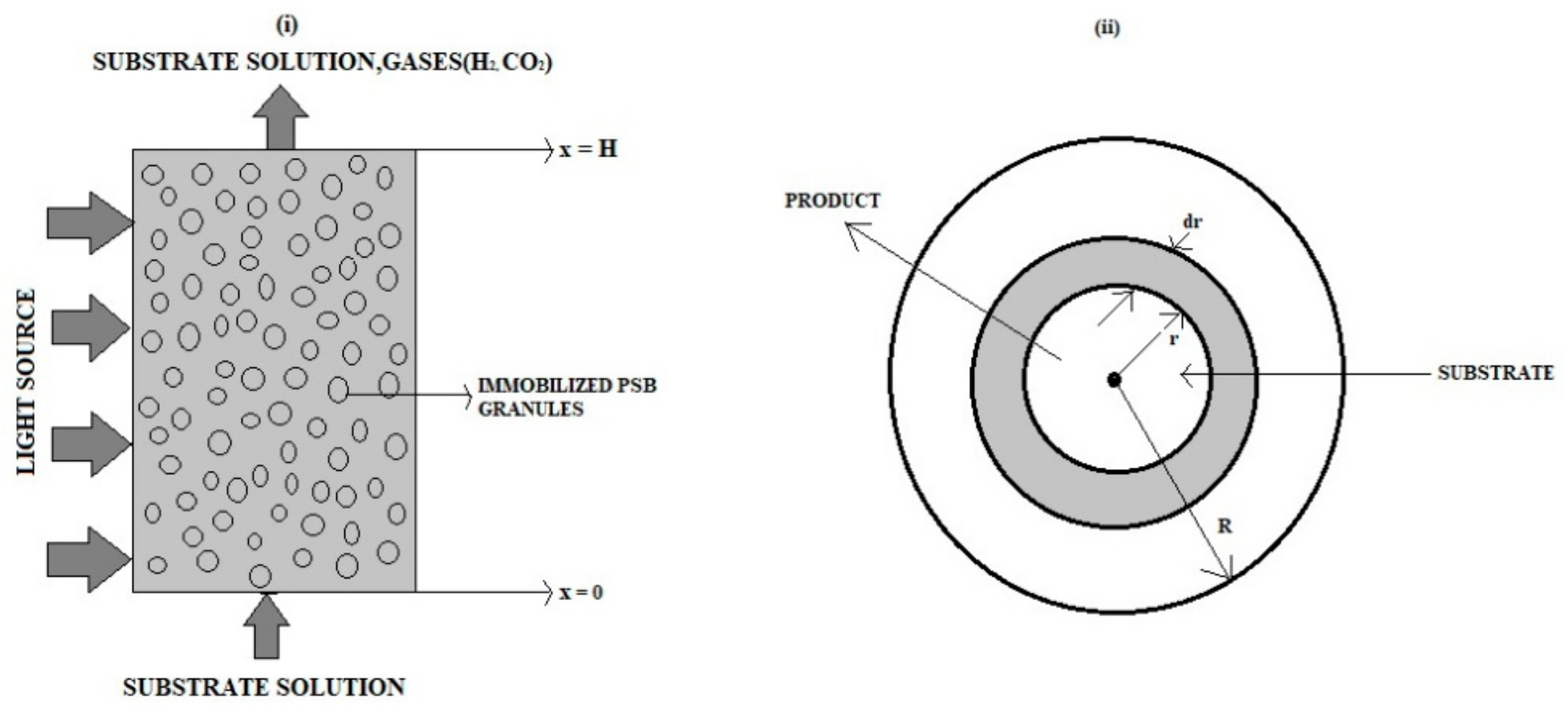 Electrochem 04 00029 g001