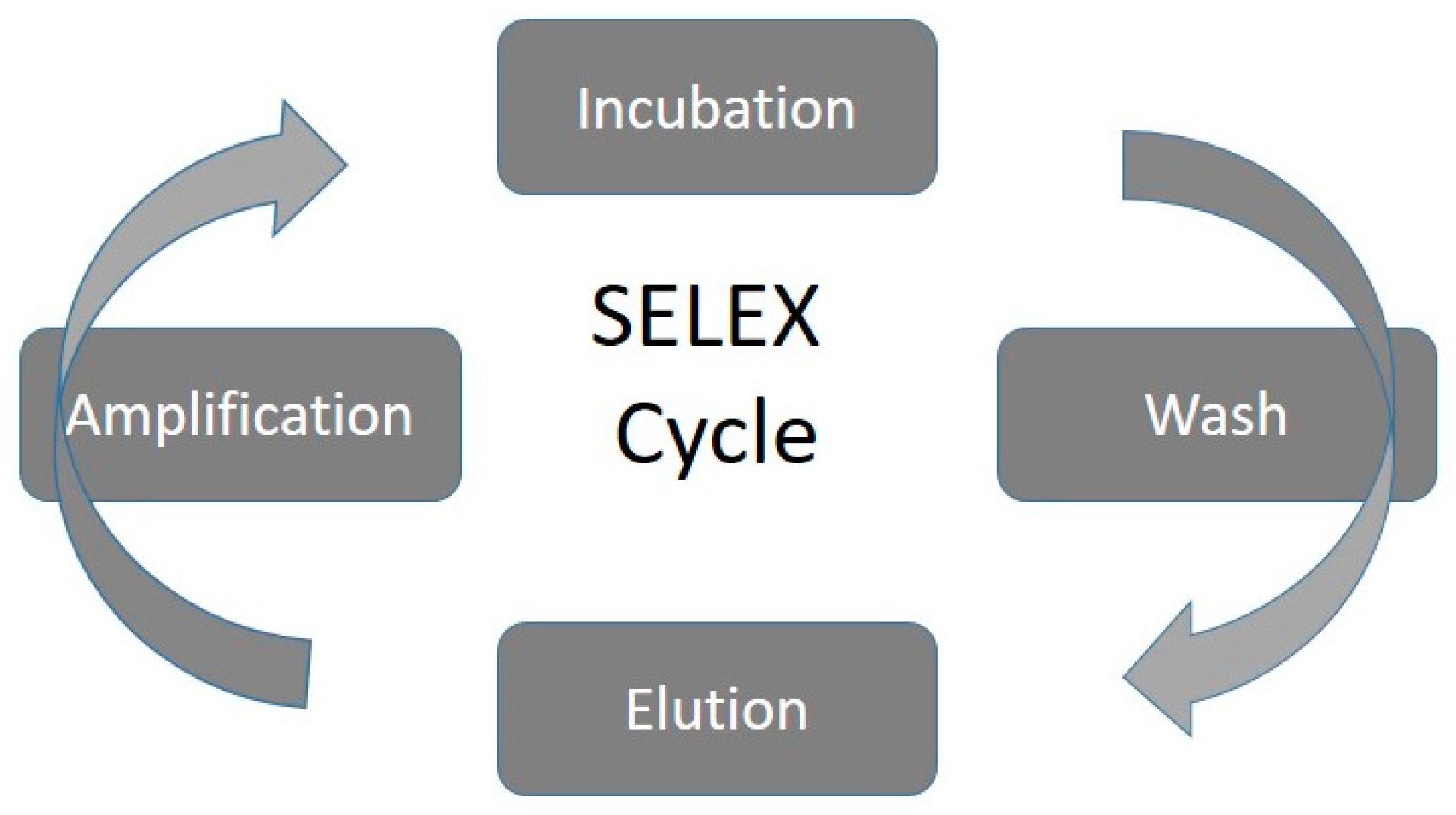Electrochem 04 00035 g001