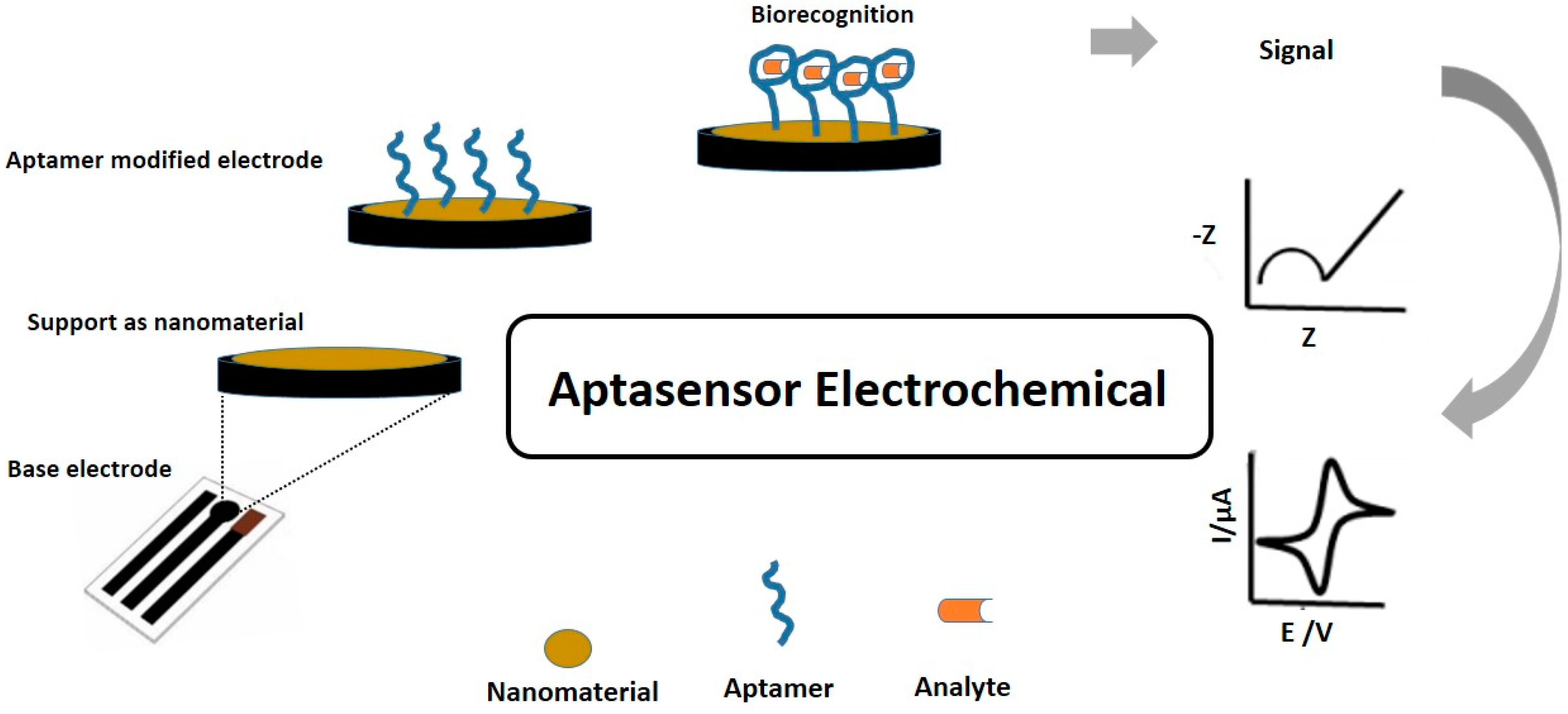 Electrochem 04 00035 g003