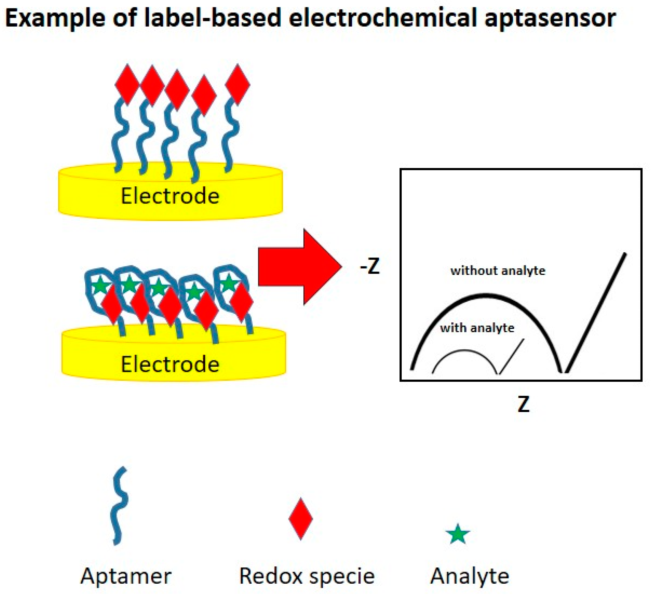 Electrochem 04 00035 g005