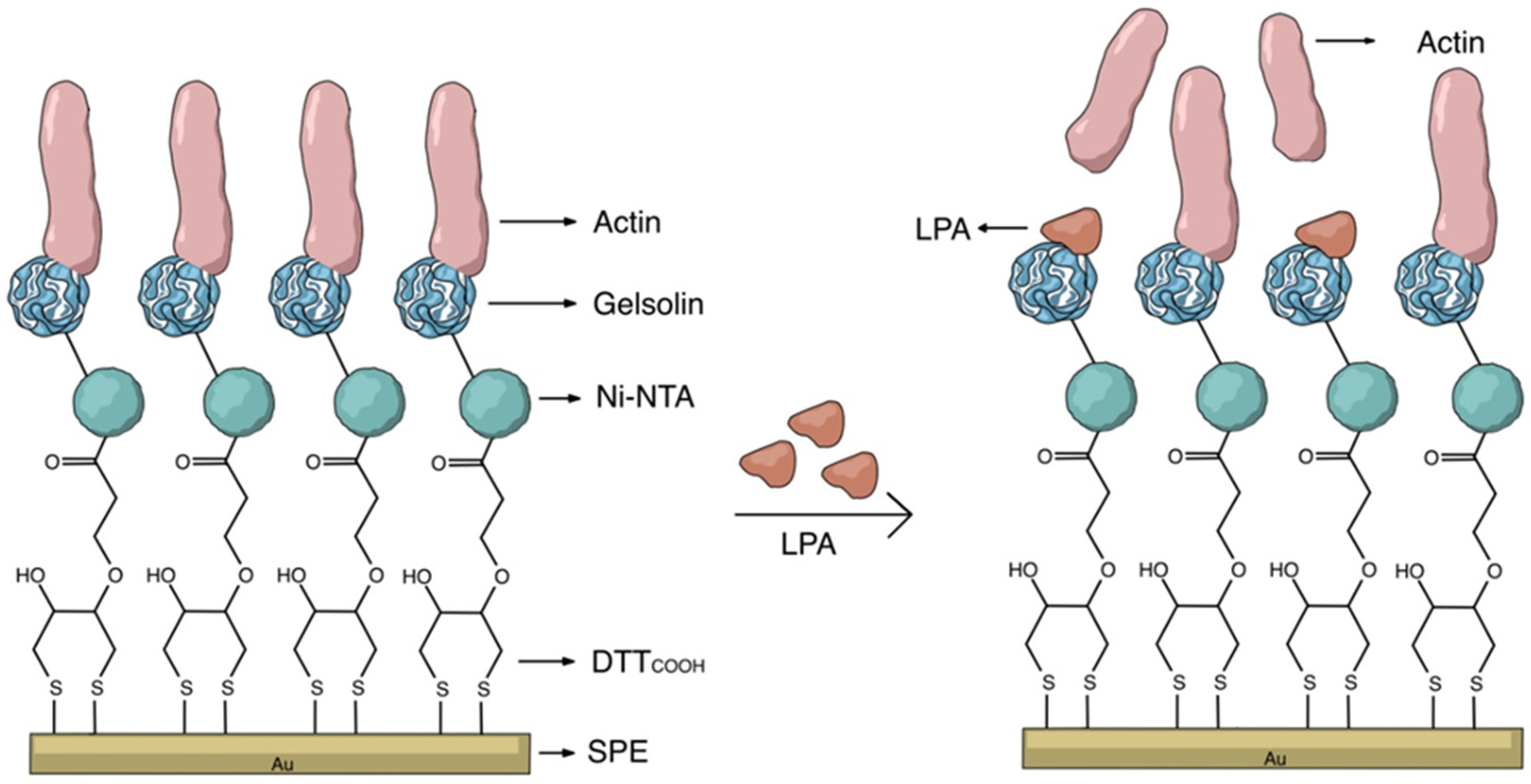 Electrochem 05 00015 g002