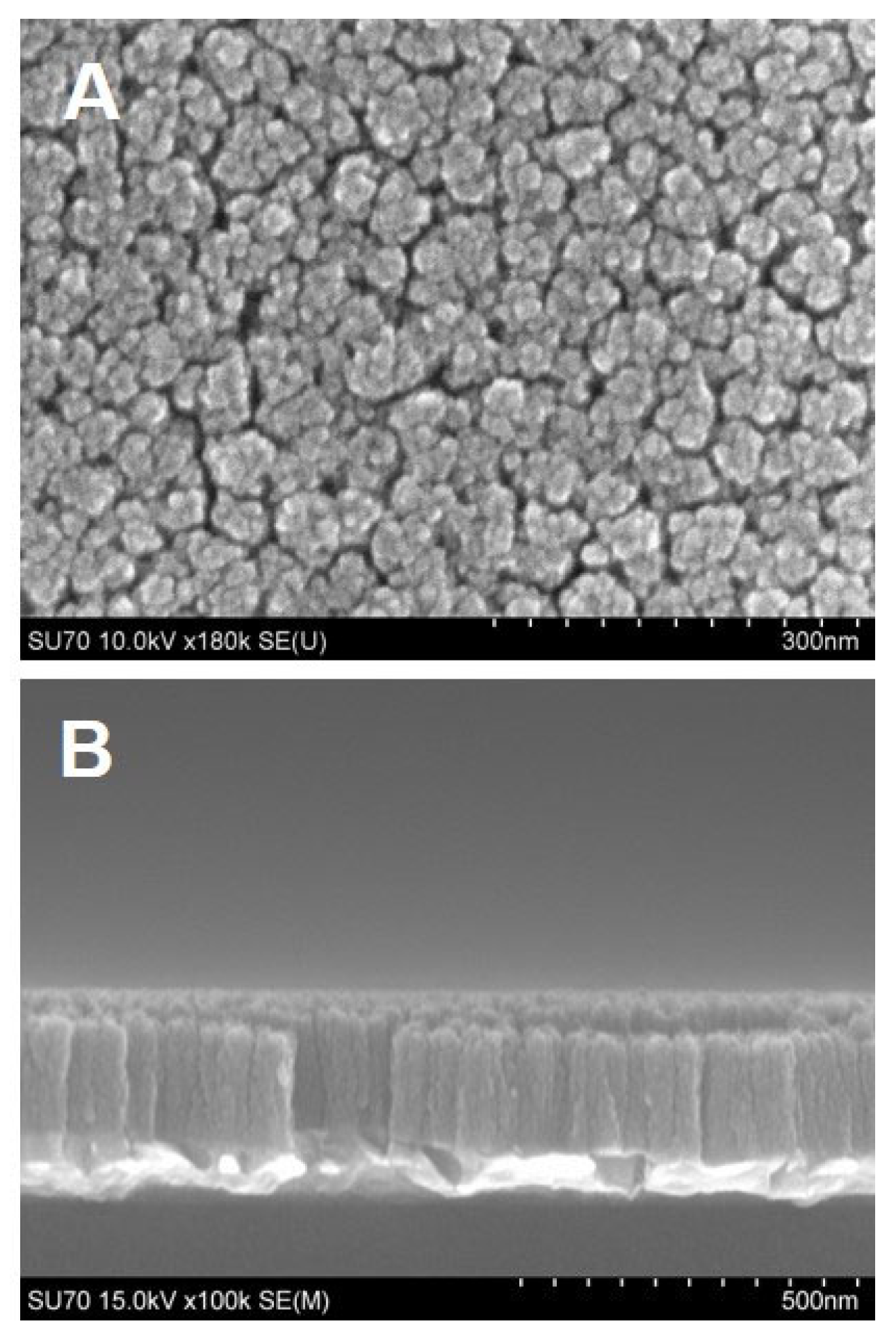 Electrochem 05 00017 g001 Electrochem 05 00017 g001