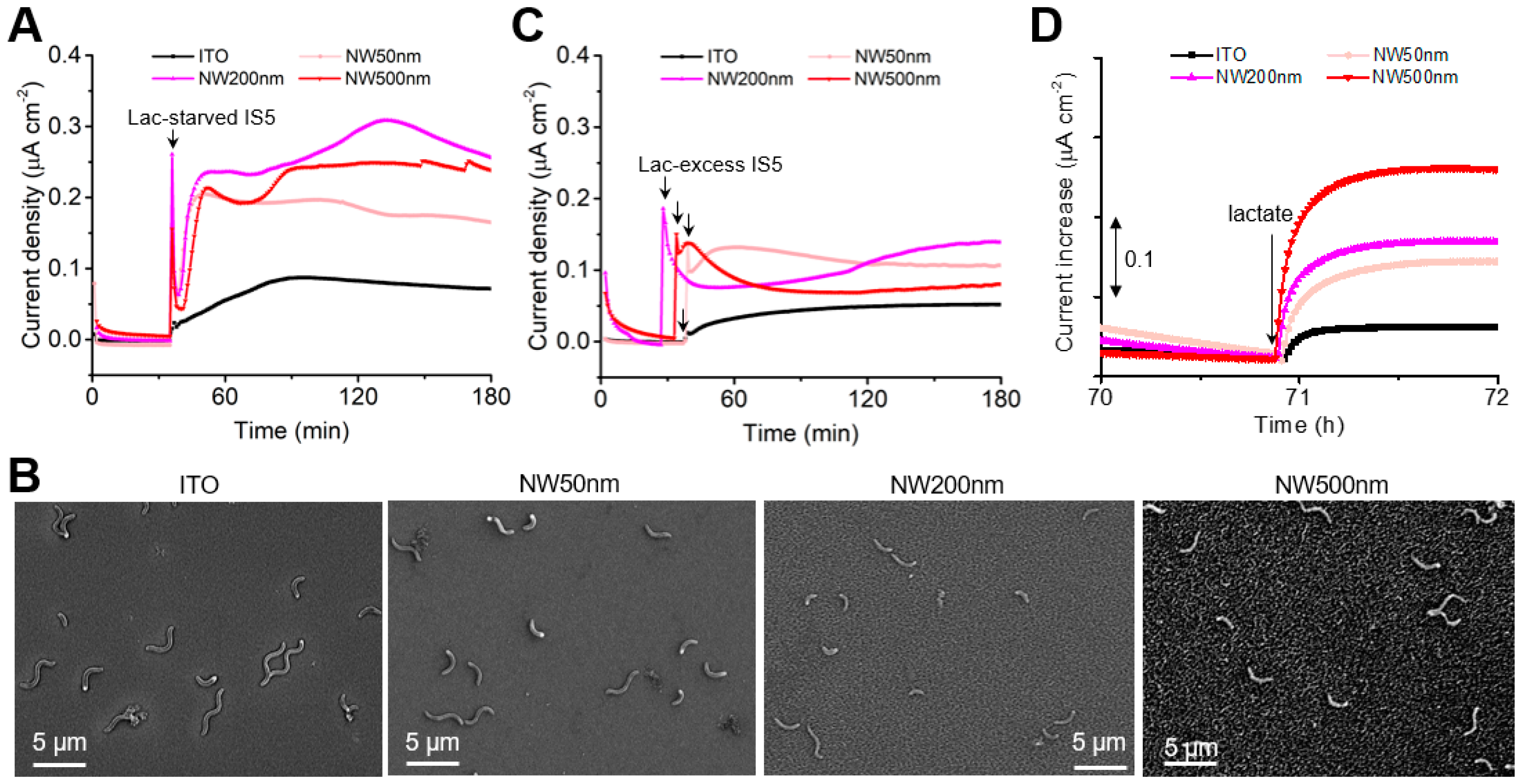 Electrochem 05 00021 g002