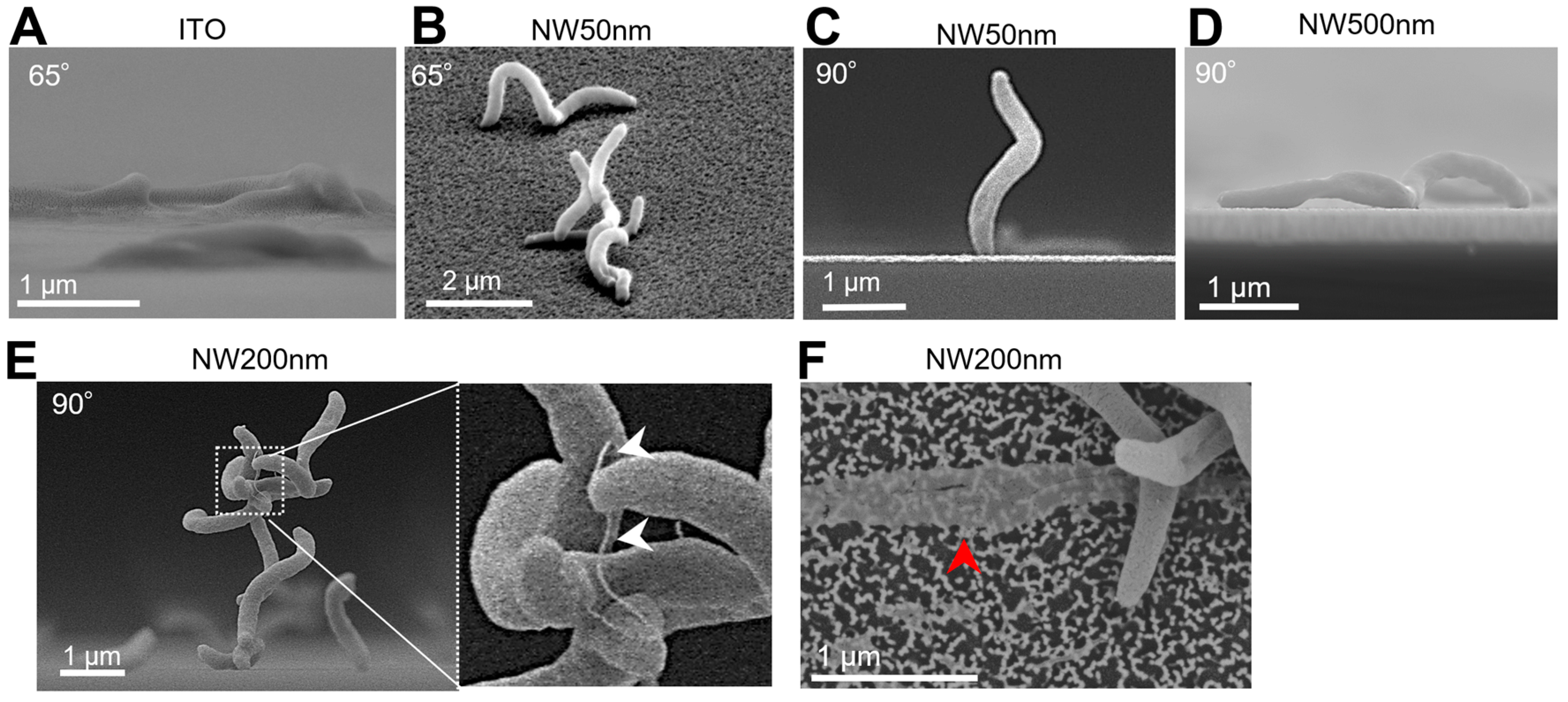 Electrochem 05 00021 g004