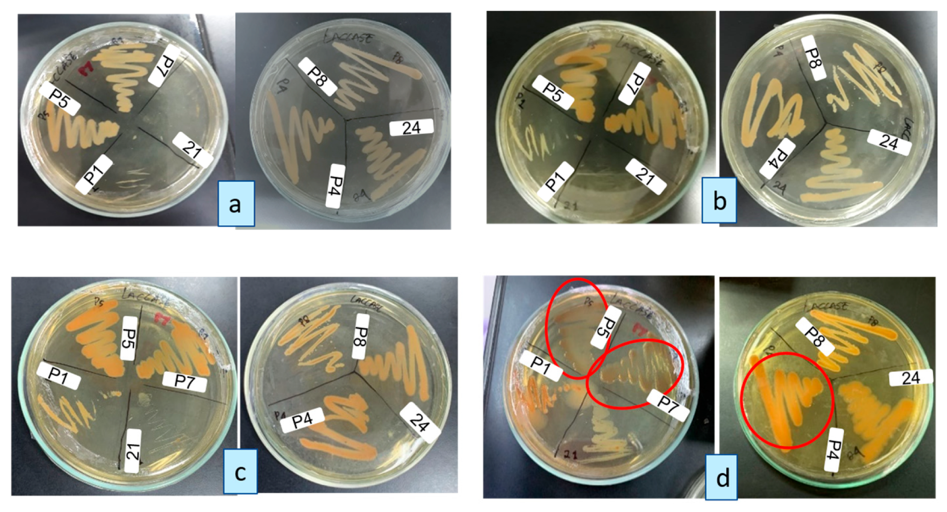 Electrochem 05 00034 g004
