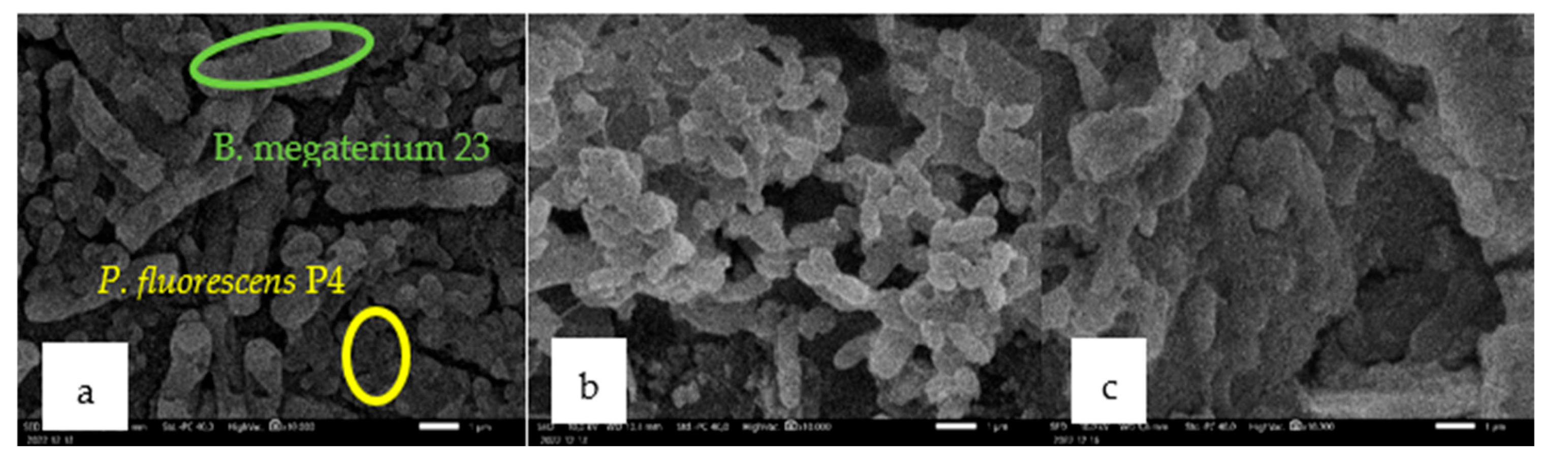Electrochem 05 00034 g007