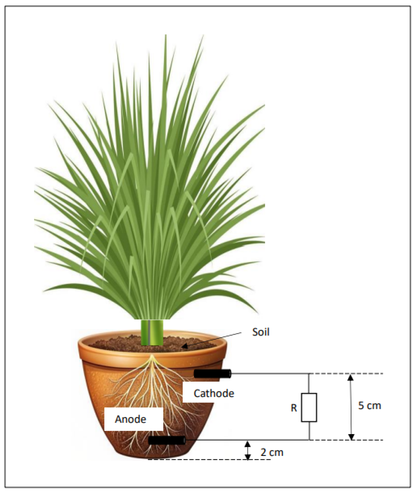 Electrochem 06 00009 g001