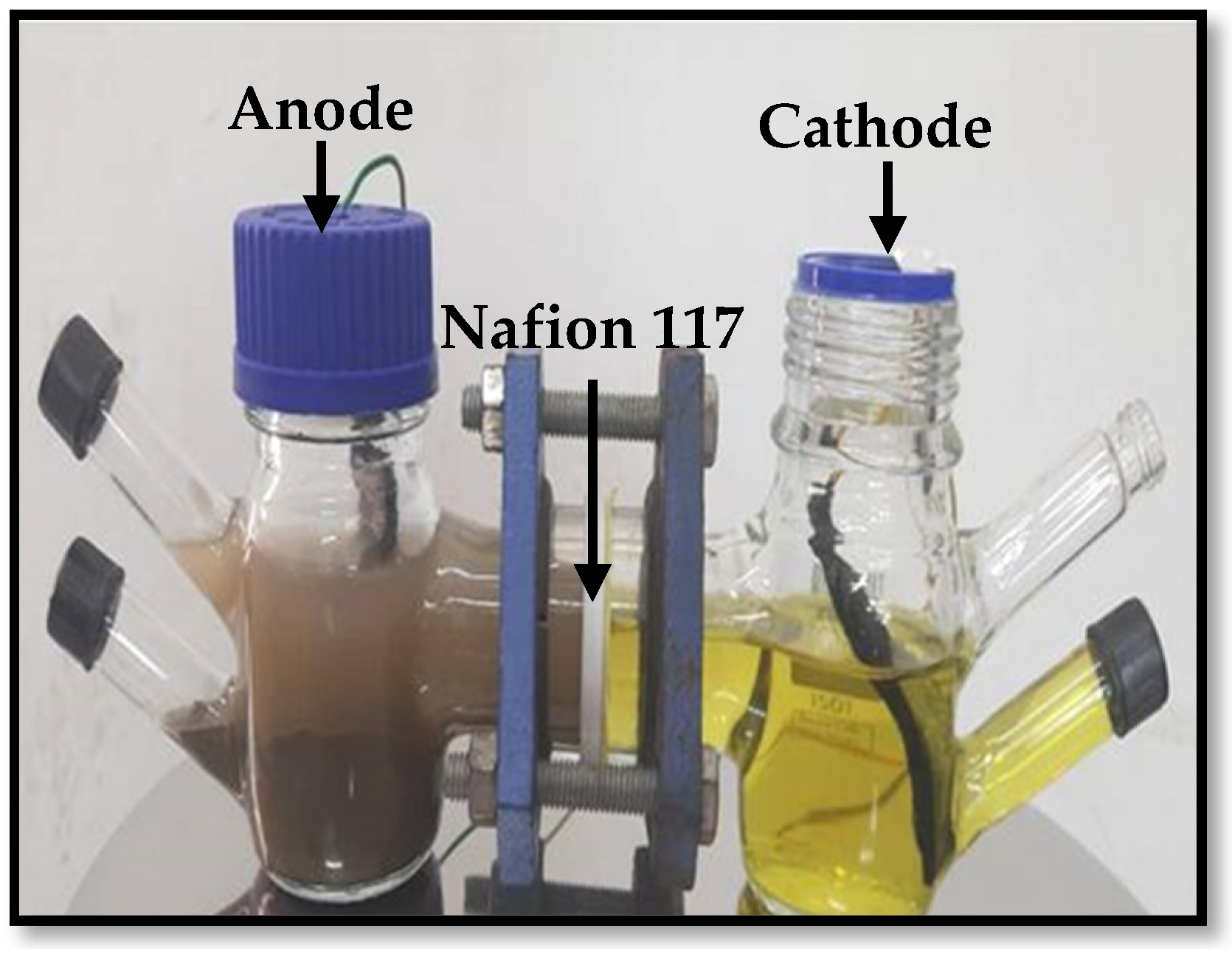 Electrochem 06 00012 g002