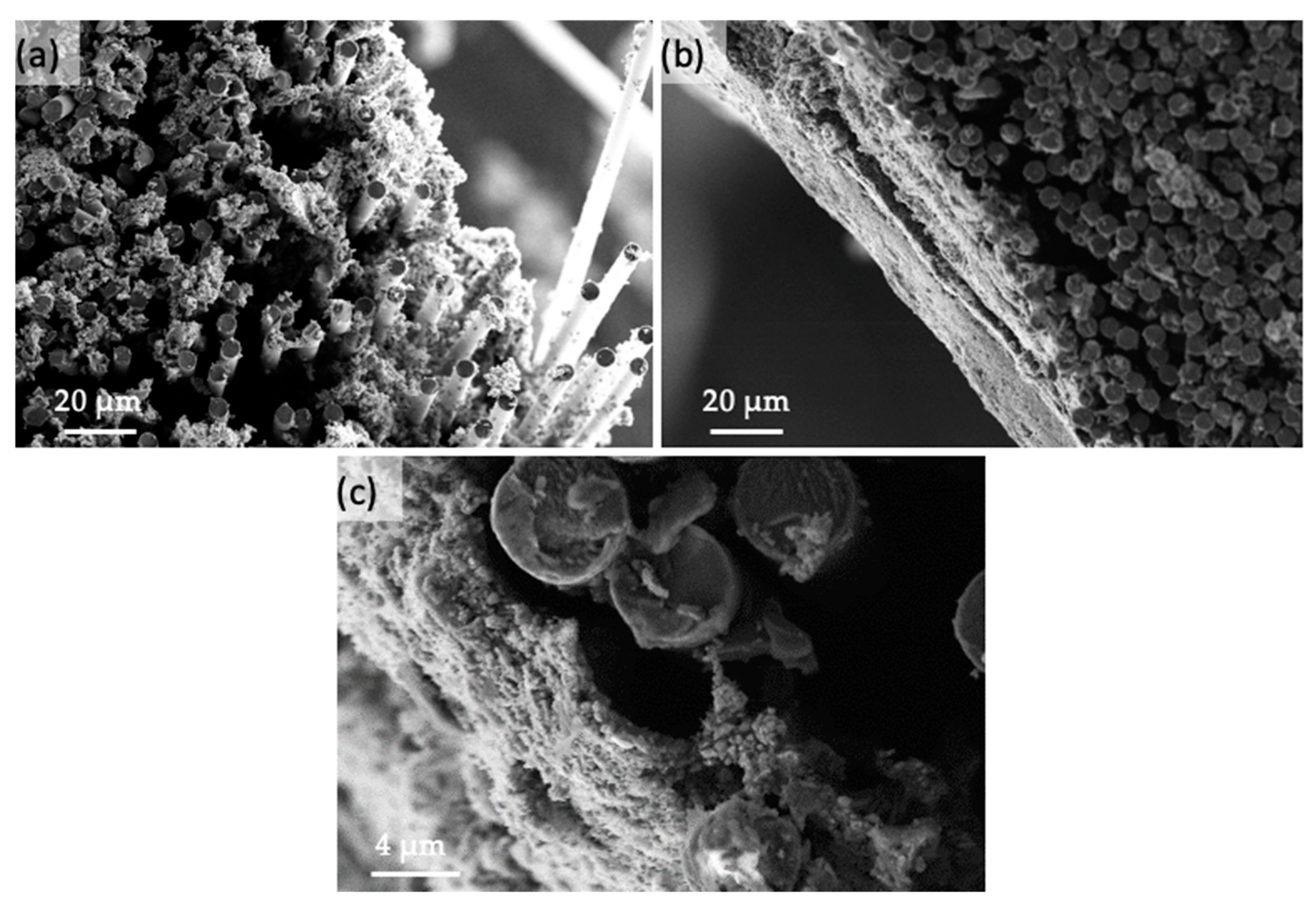 Electrochem 06 00013 g005