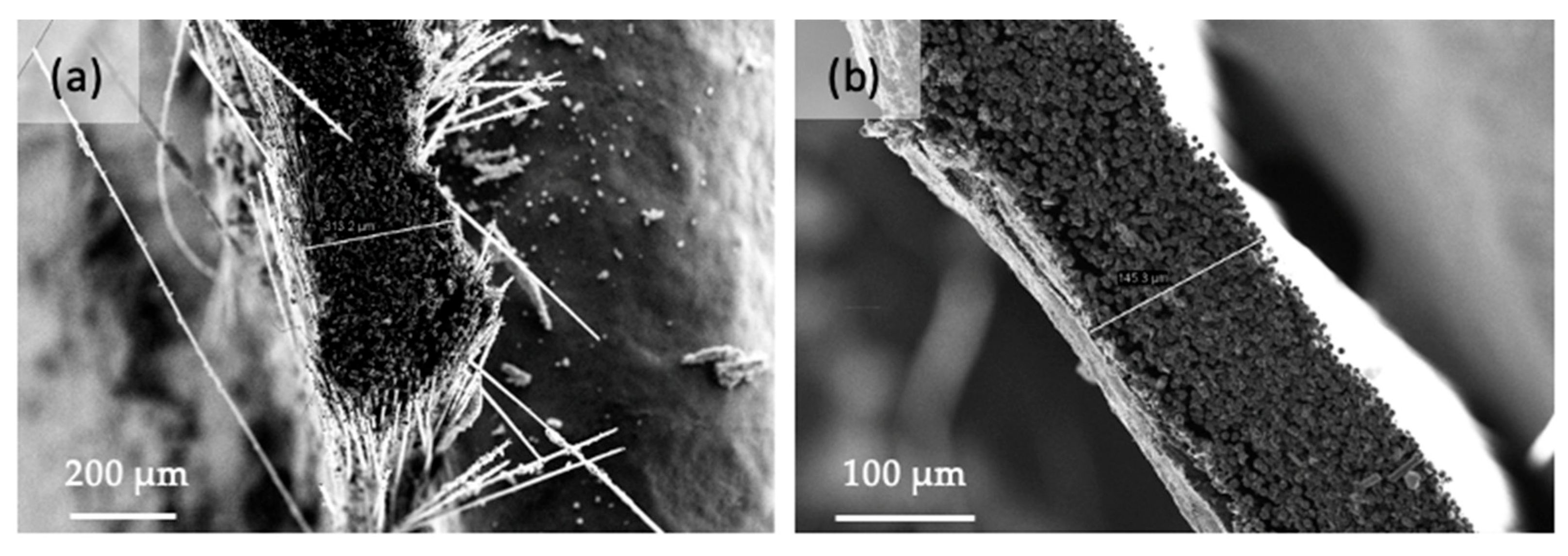Electrochem 06 00013 g006