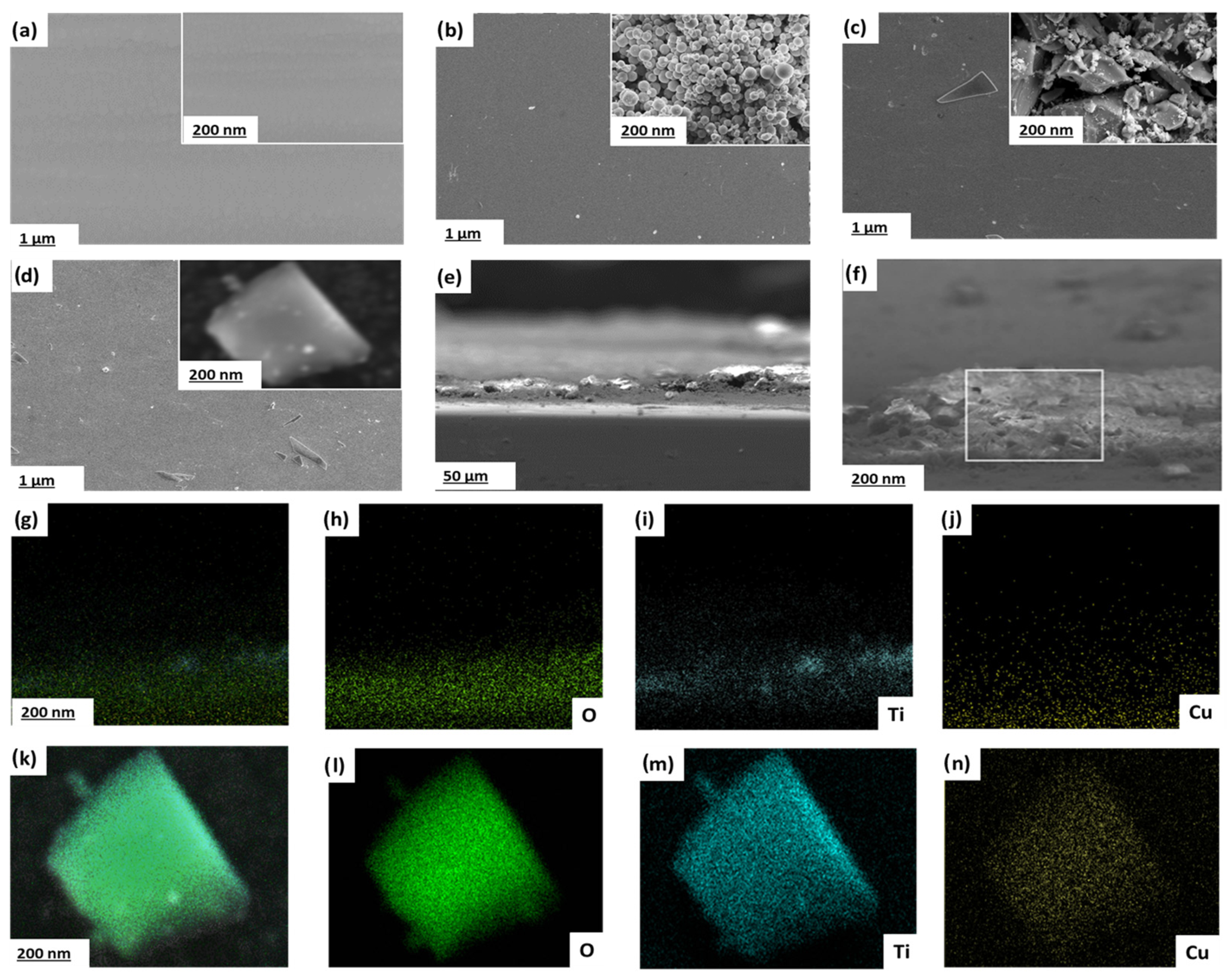 Electrochem 06 00021 g005