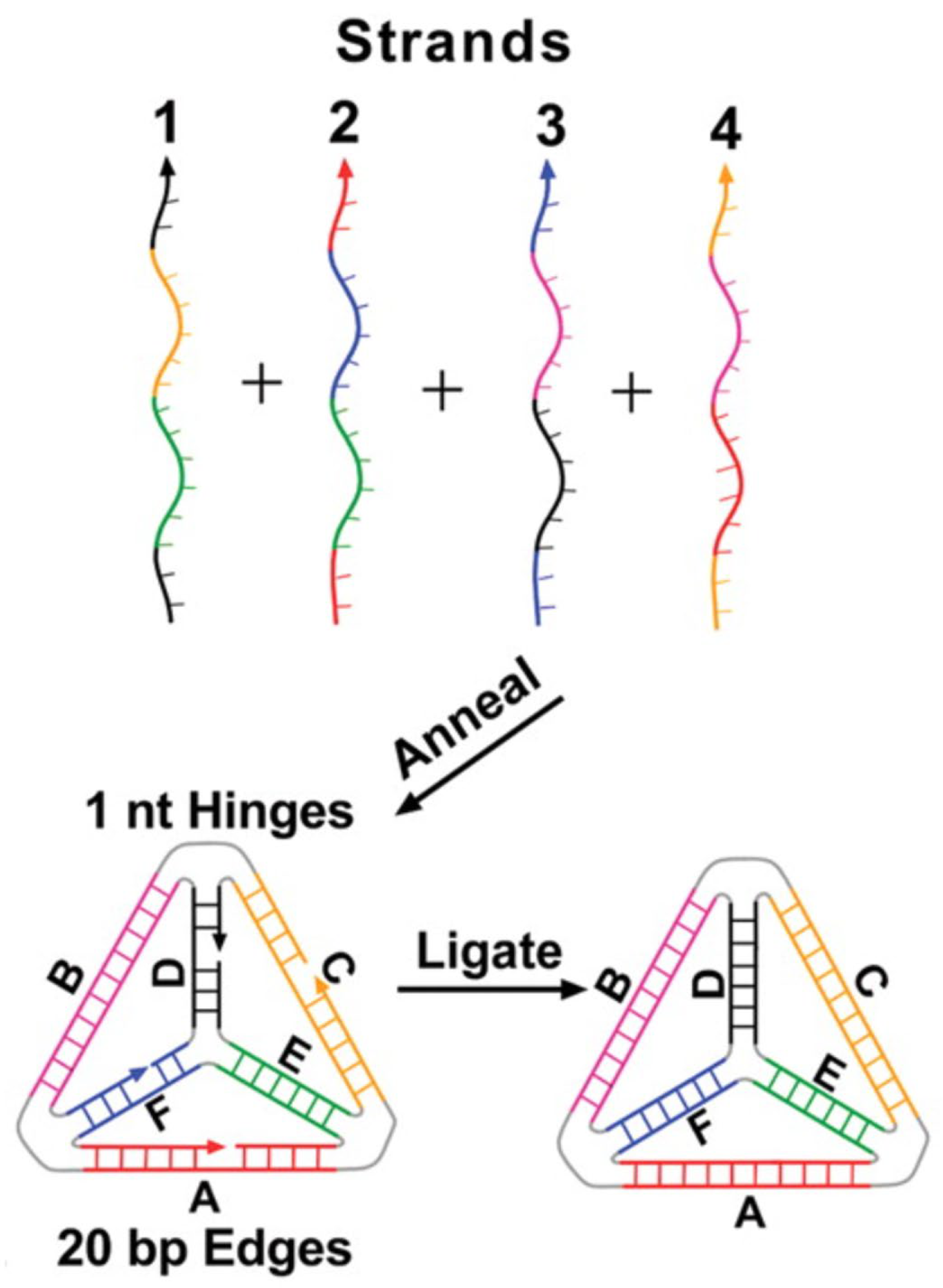 Electrochem 06 00040 g001
