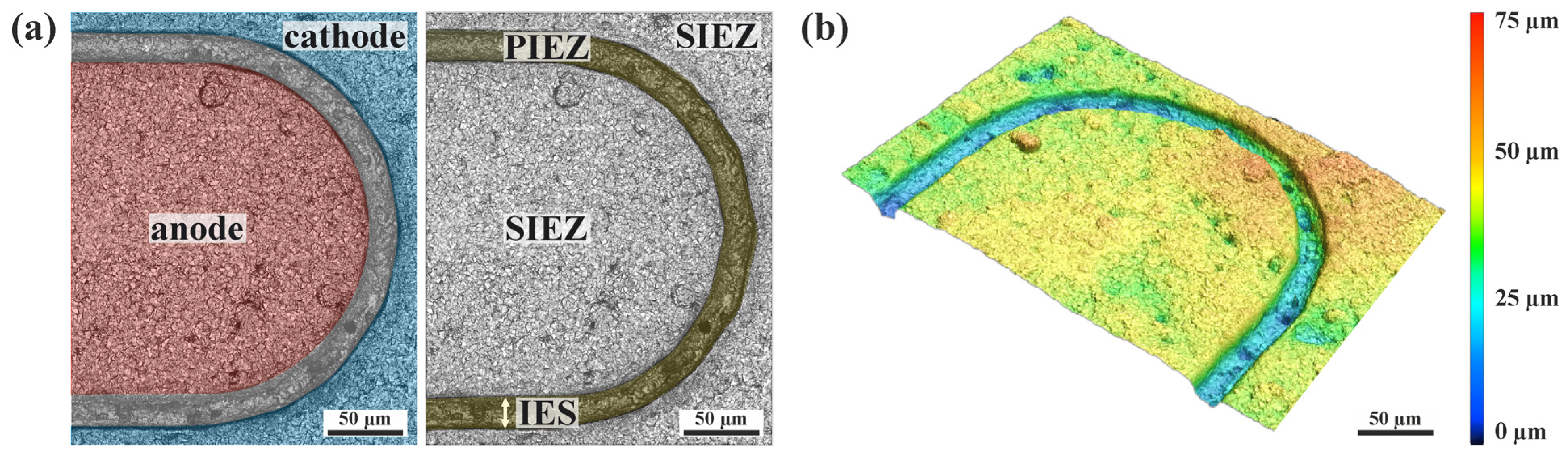 Electrochem 06 00041 g002
