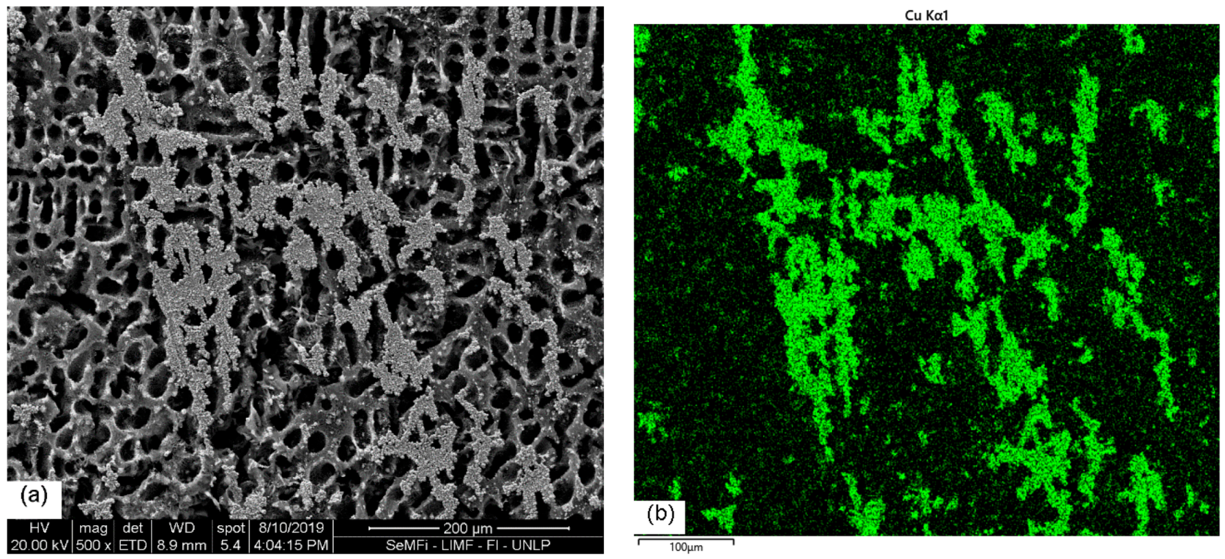 Electronicmat 01 00003 g004
