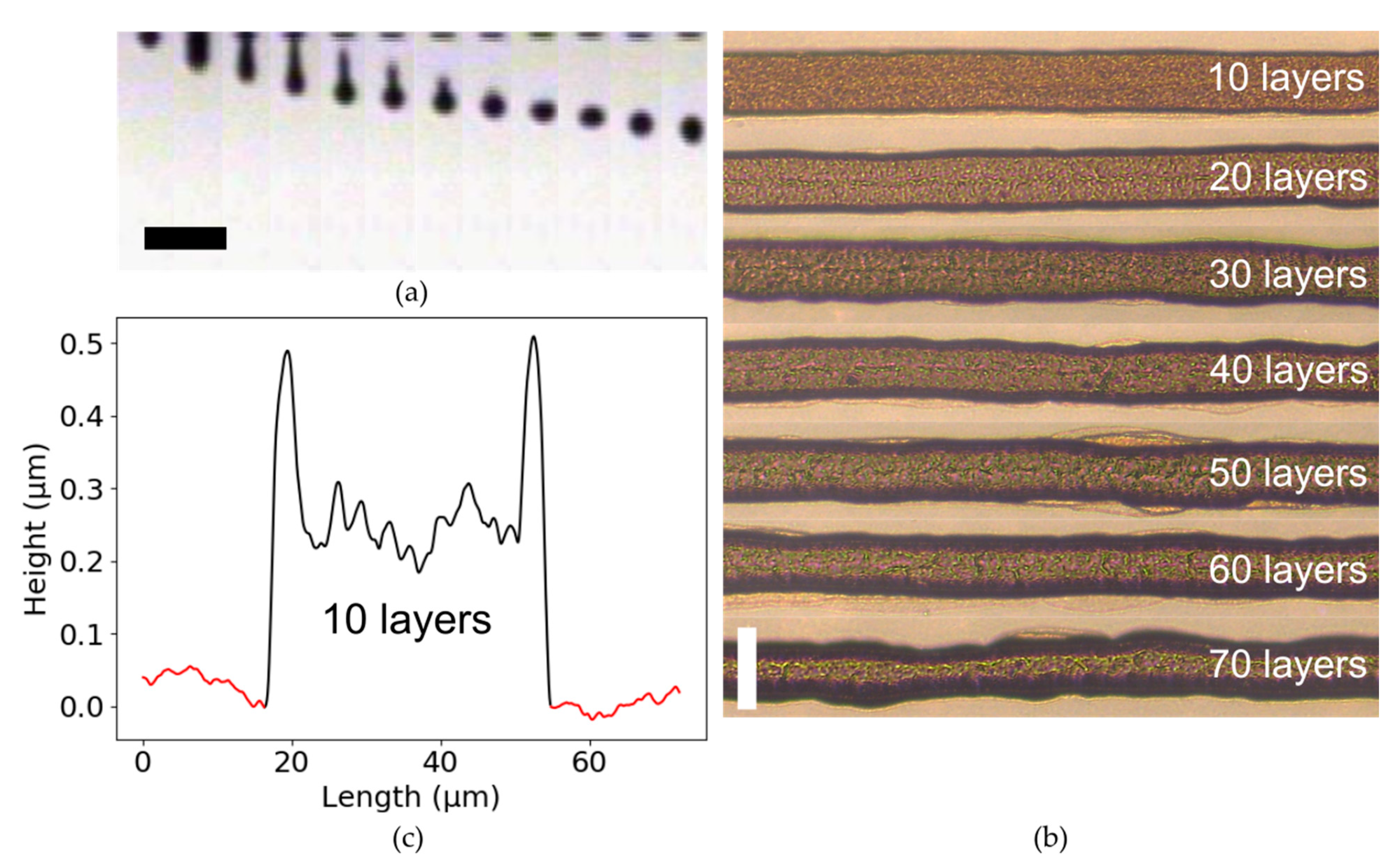 Electronicmat 02 00027 g008