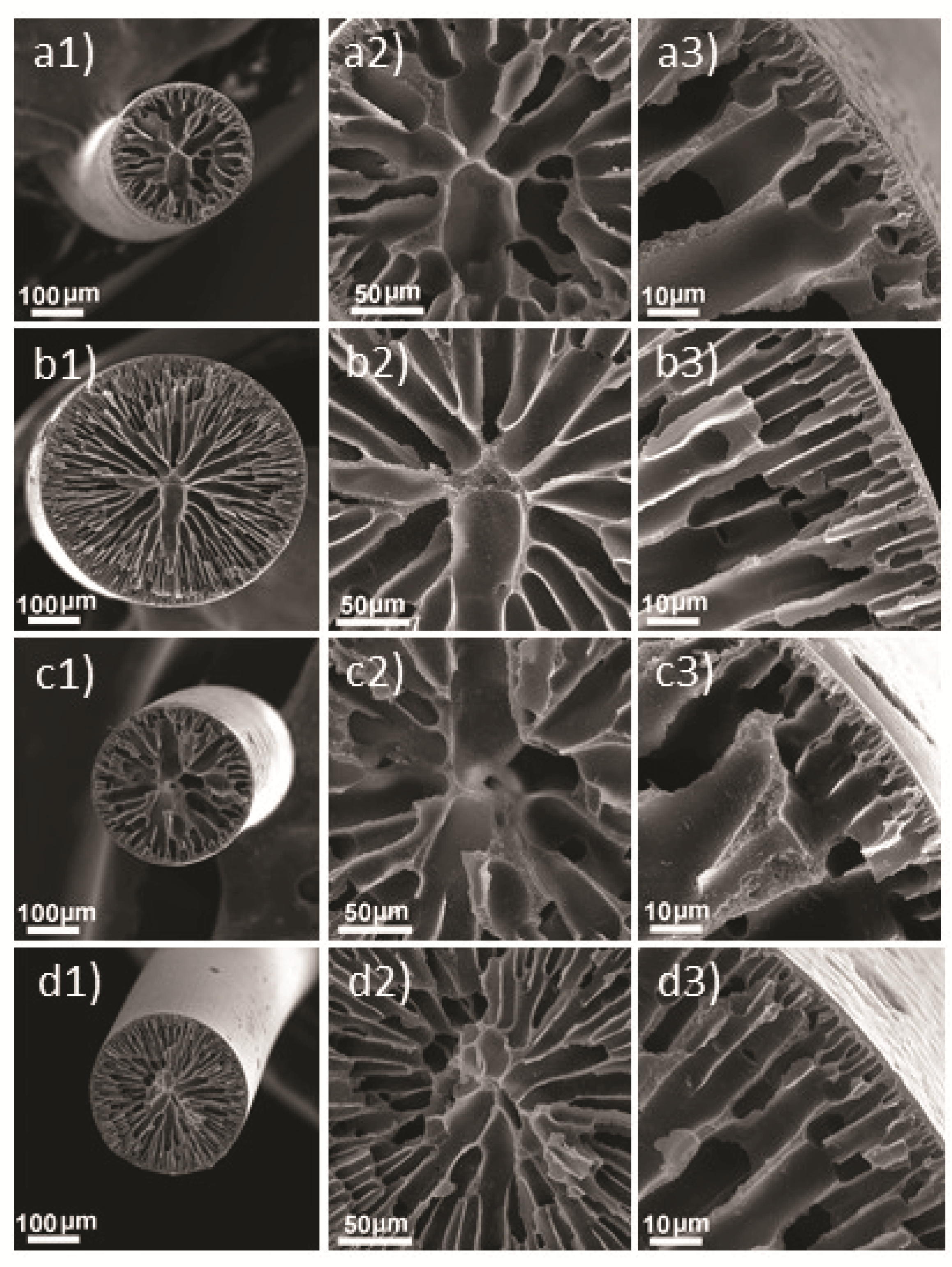 Electronicmat 02 00031 g002