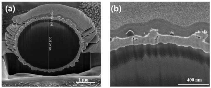 Electronicmat 03 00021 g011 550
