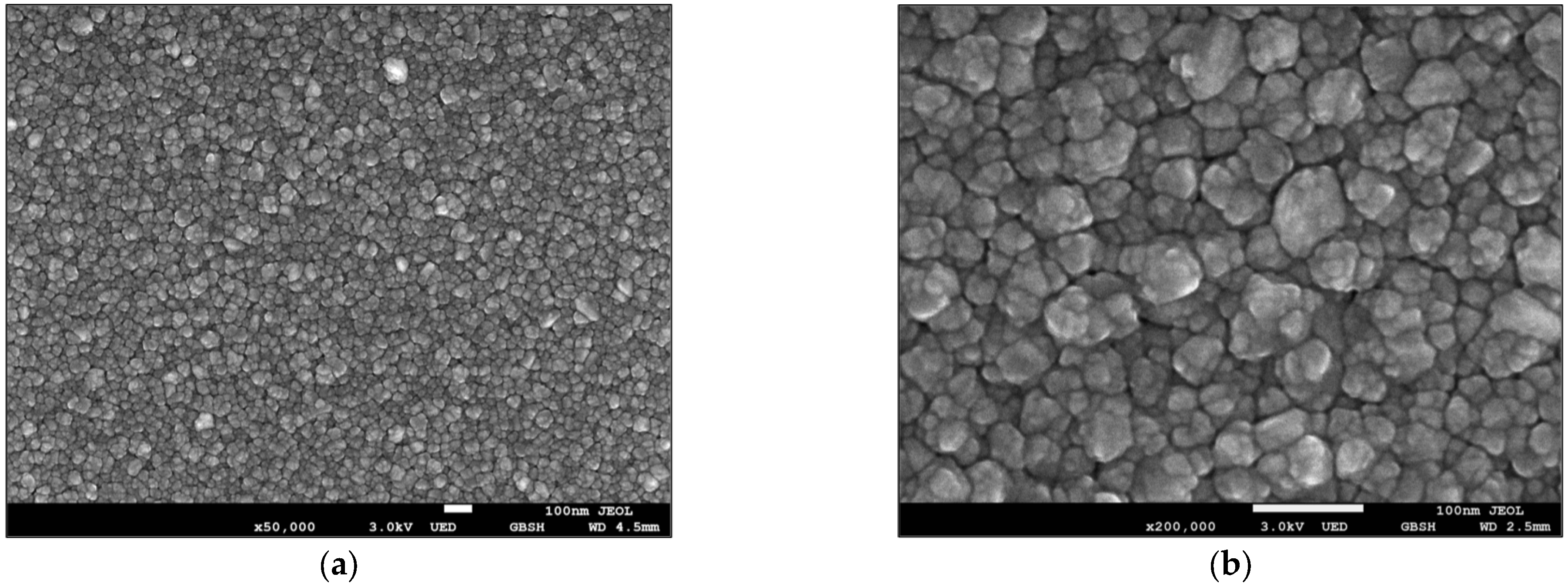 Electronicmat 04 00009 g003