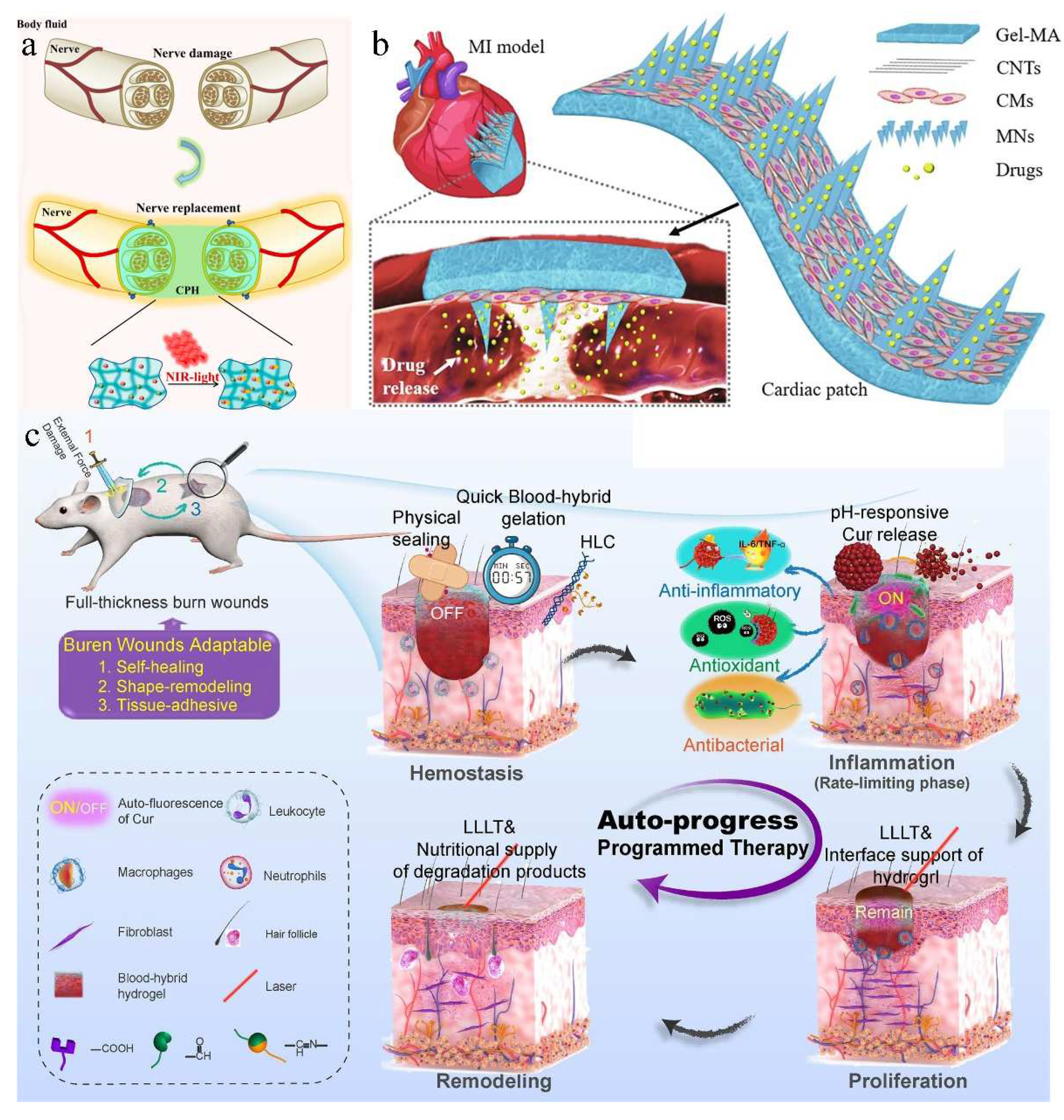Electronicmat 05 00008 g005