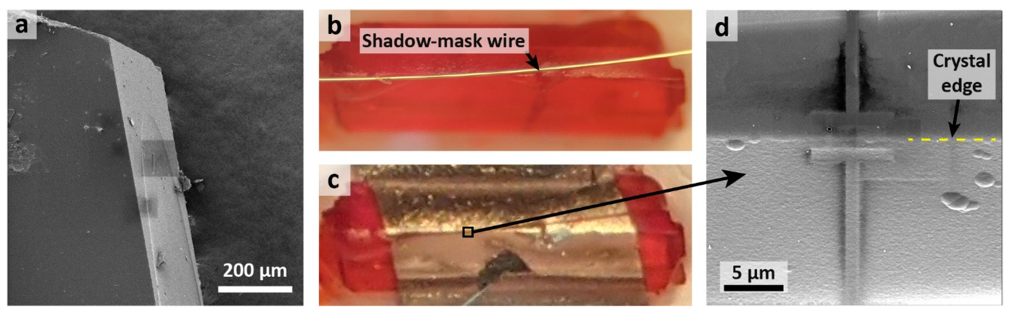 Electronicmat 05 00018 g004