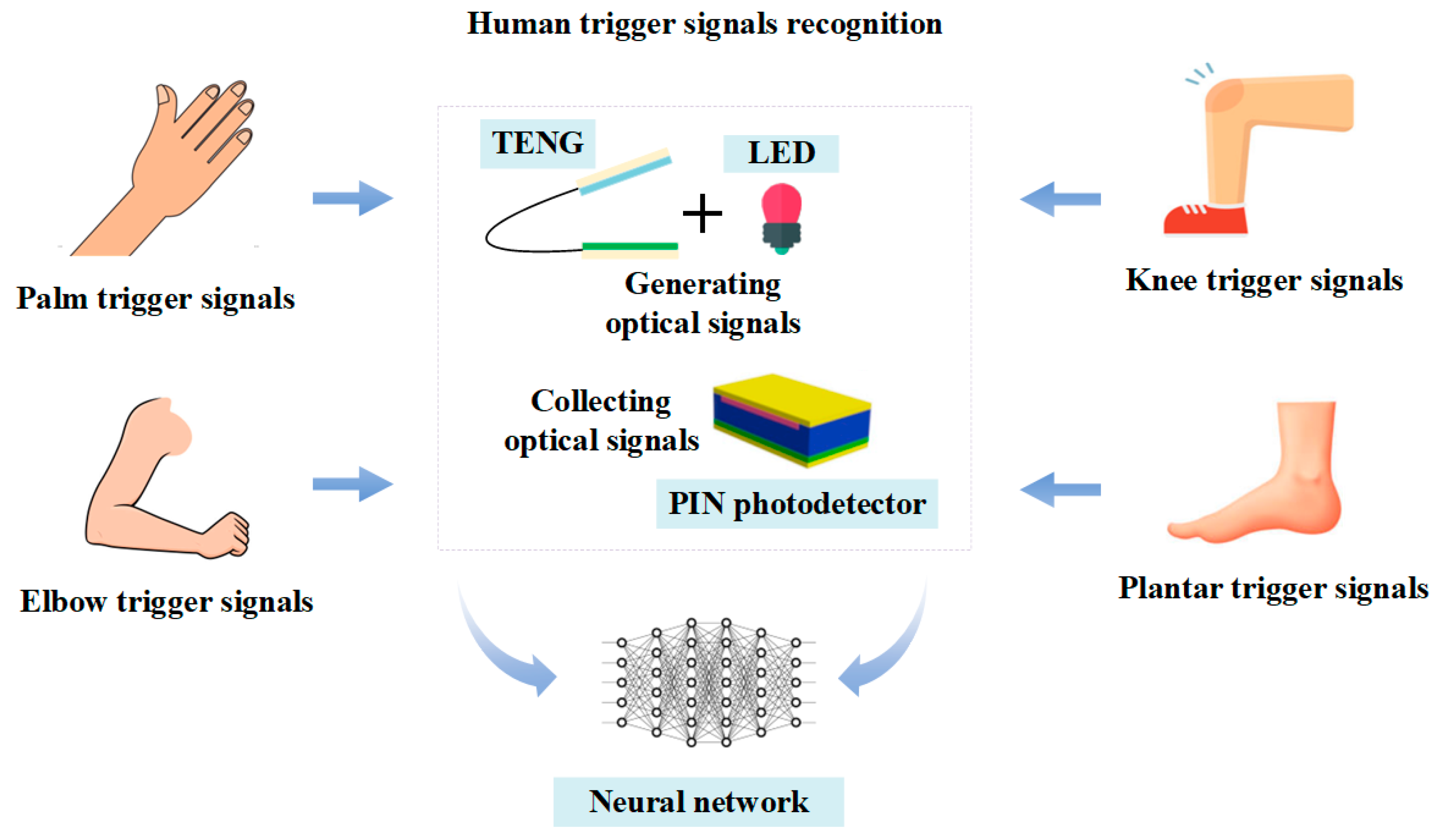 Electronicmat 06 00022 g006