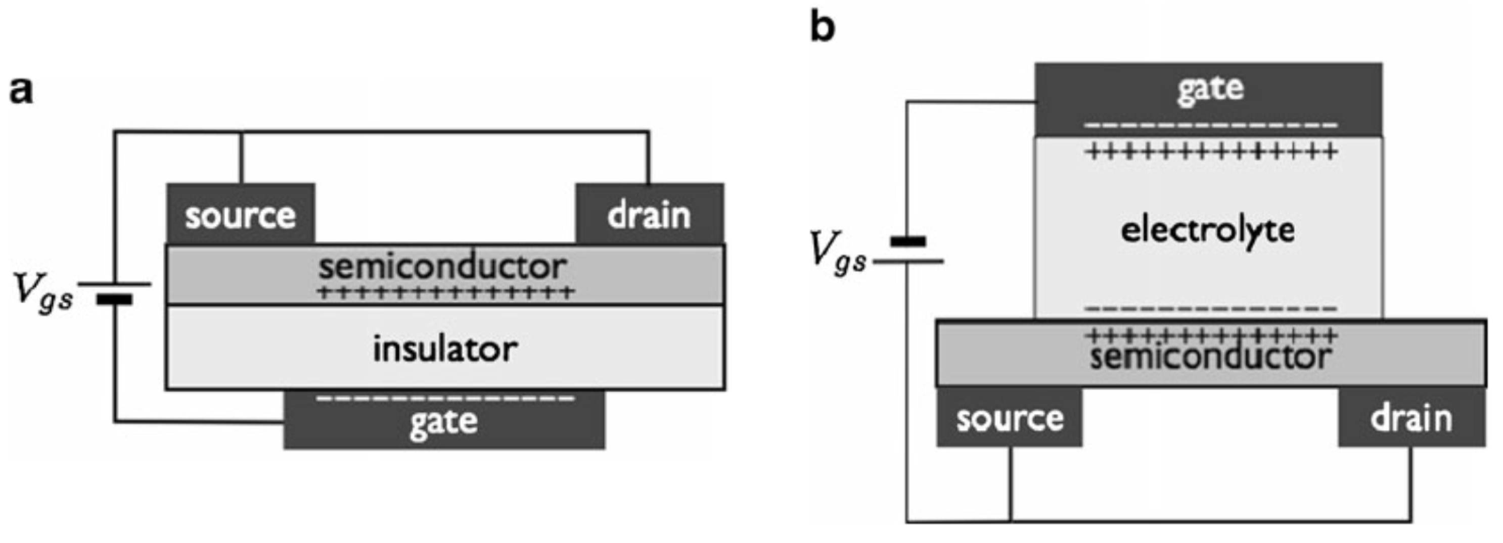 Electronics Free Full Text Electrolytic Gated Organic Field Effect Transistors For Application In Biosensors A Review Html