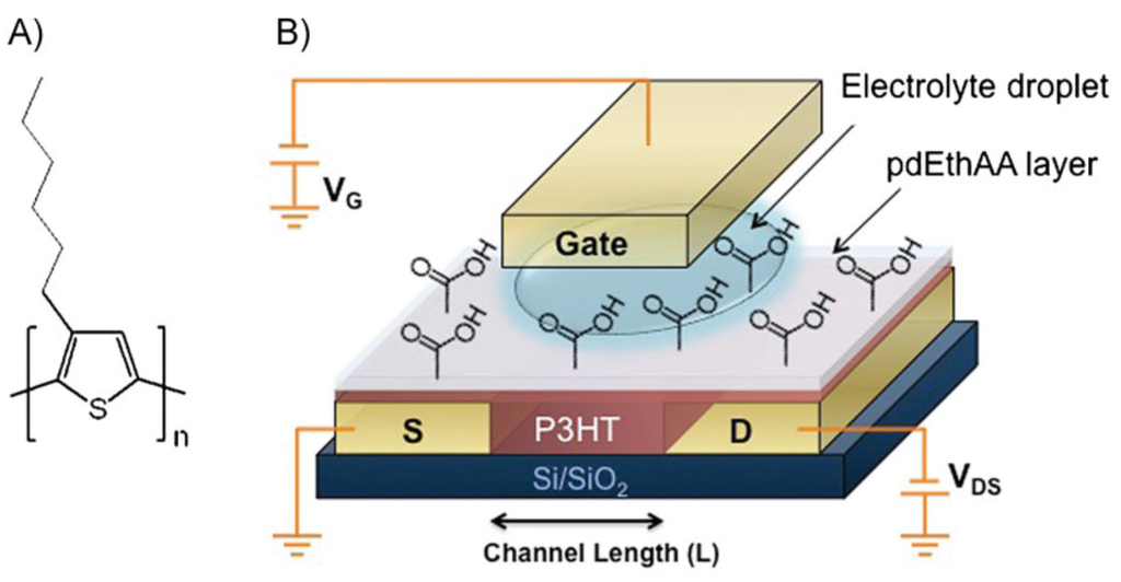 Electronics Special Issue Recent Advances in Organic Bioelectronics