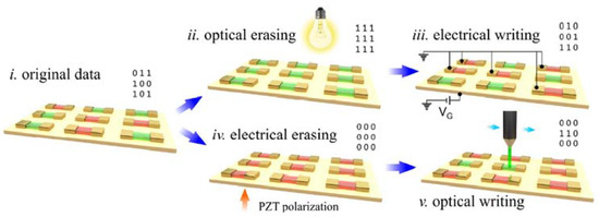 Recent Advances in Electronic and Optoelectronic Devices