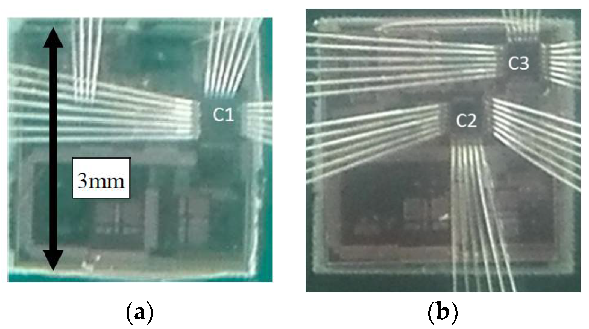 Electronics 07 00091 g010 550