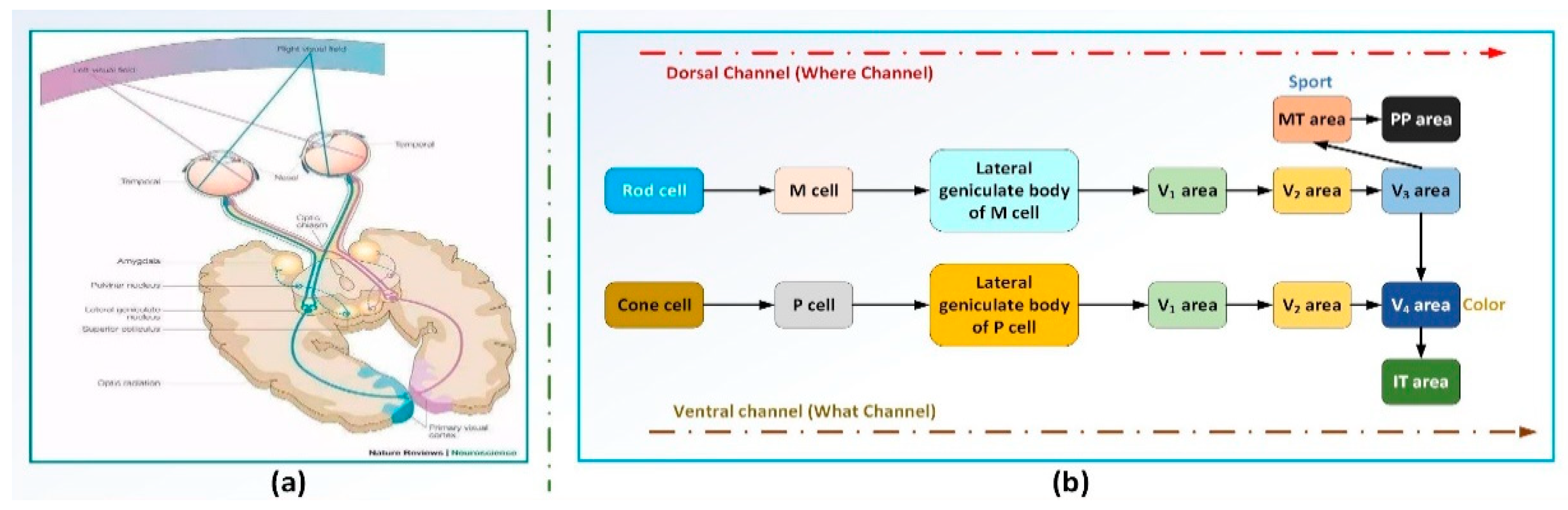 Electronics 07 00216 g003 Electronics 07 00216 g003