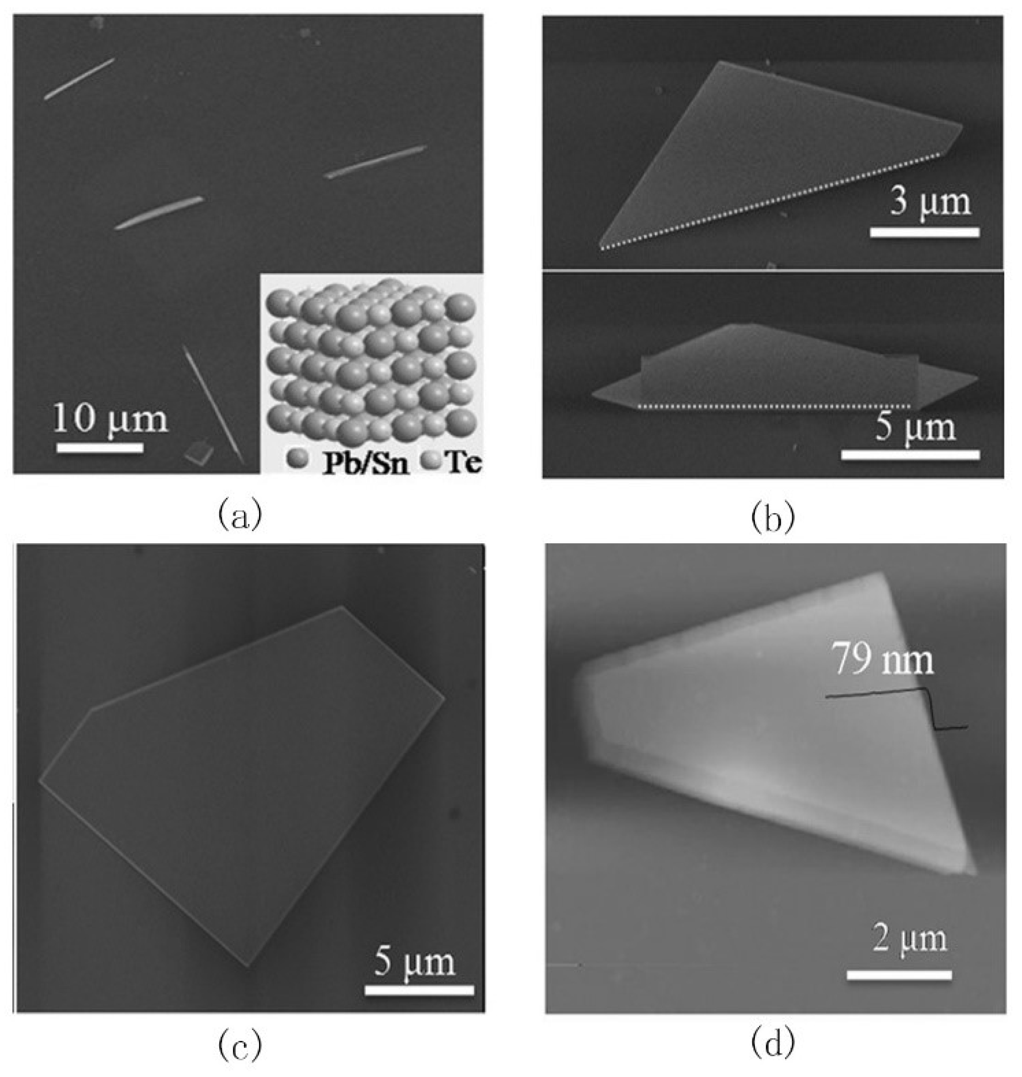 Electronics 07 00225 g002